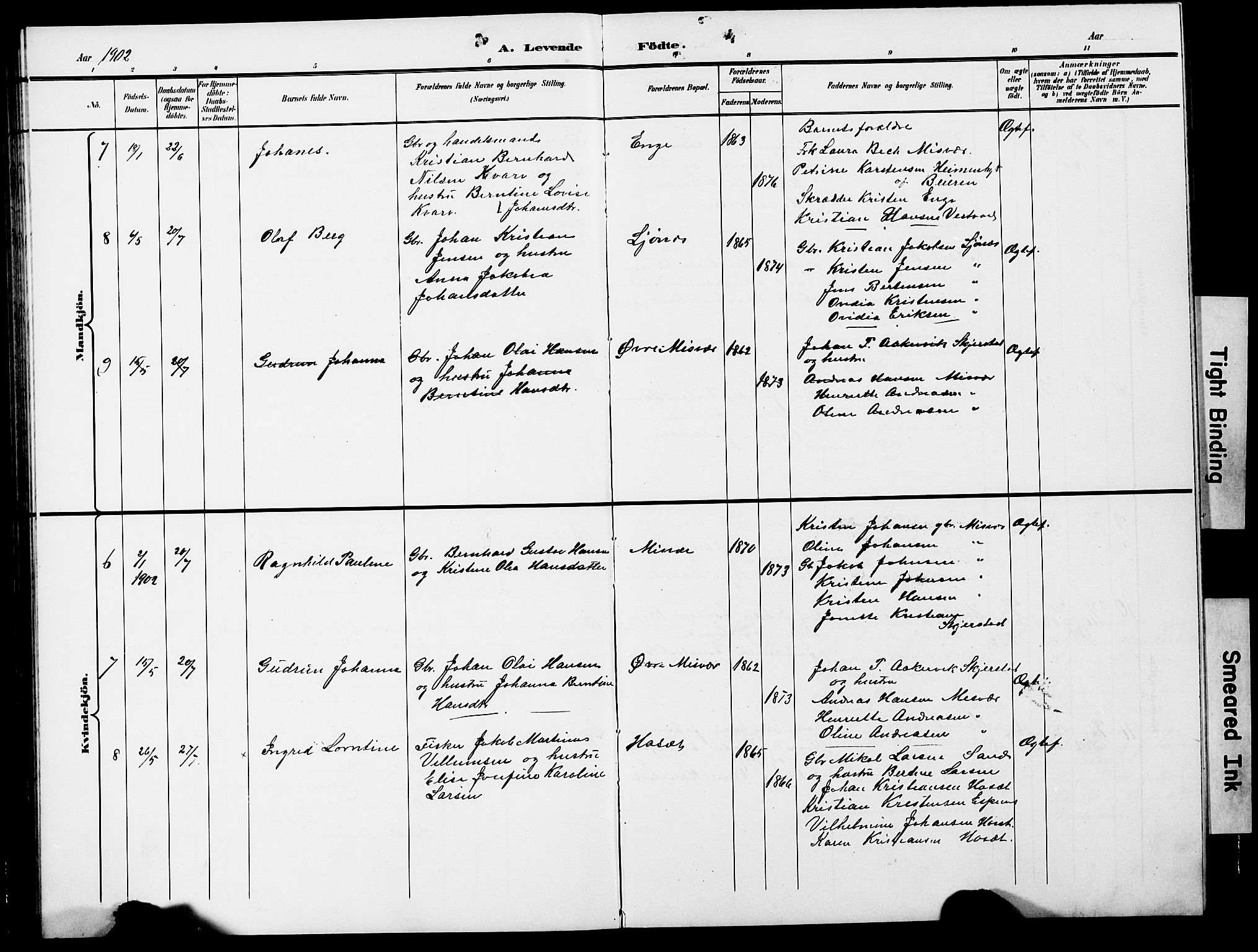 Ministerialprotokoller, klokkerbøker og fødselsregistre - Nordland, SAT/A-1459/852/L0755: Klokkerbok nr. 852C06, 1895-1902