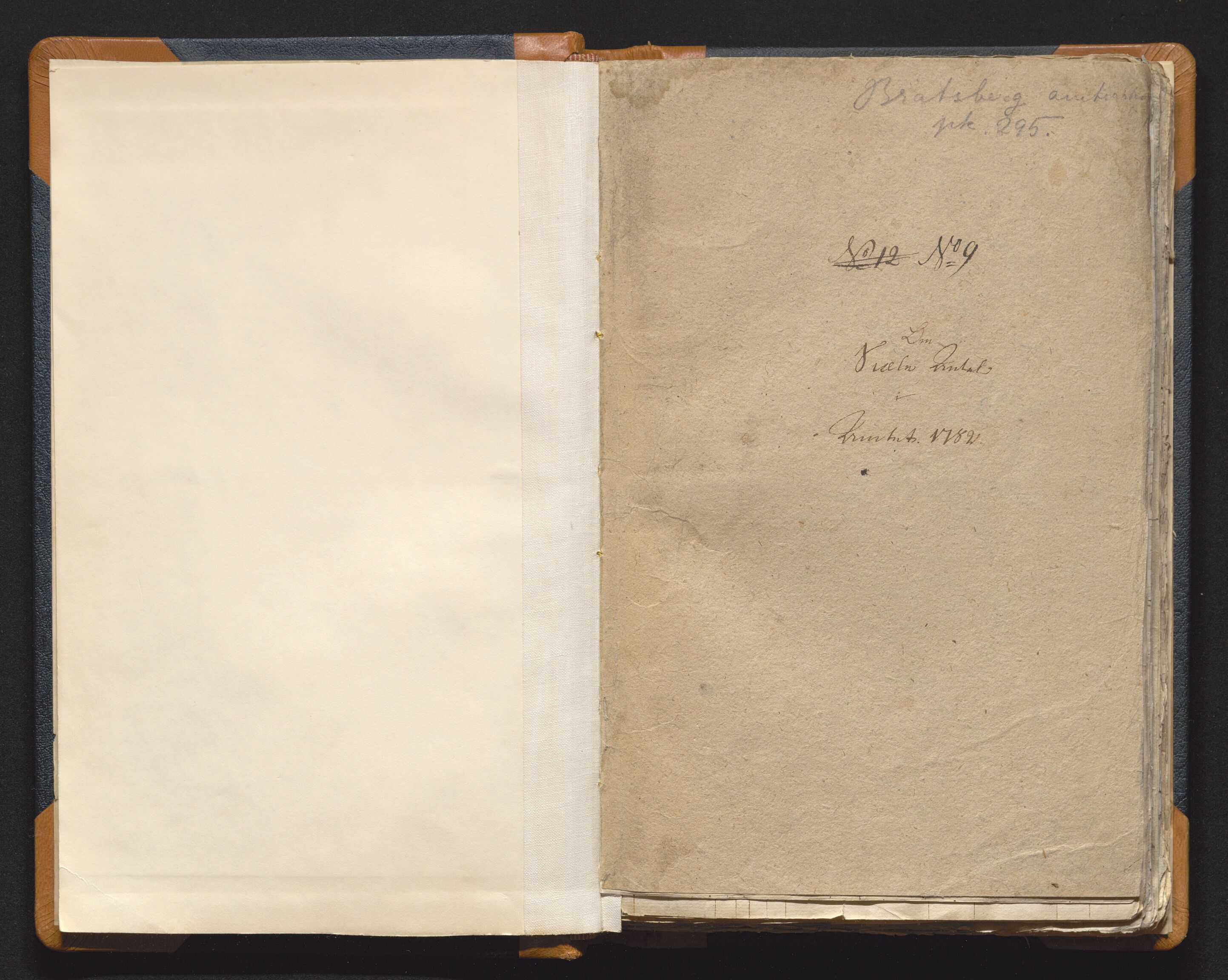 Bratsberg len og amt, AV/SAKO-A-943/I/I34/L0342/0019: Diverse manntall og fortegnelser / Manntall for prestegjeldene i Bratsberg amt, 1782