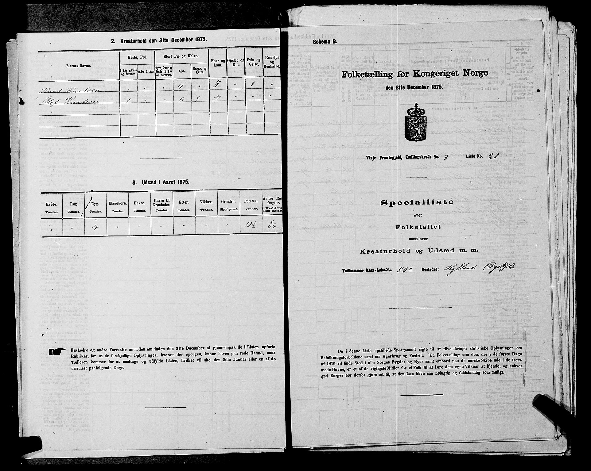 SAKO, Folketelling 1875 for 0834P Vinje prestegjeld, 1875, s. 295