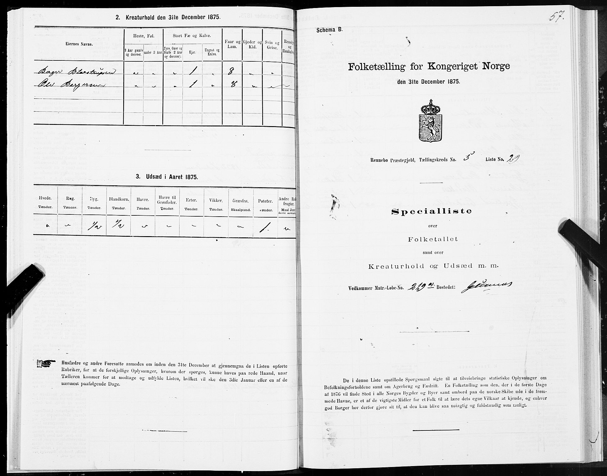 SAT, Folketelling 1875 for 1635P Rennebu prestegjeld, 1875, s. 3057