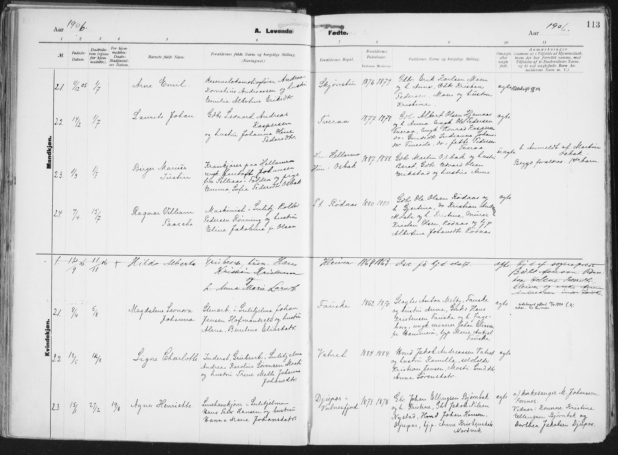 Ministerialprotokoller, klokkerbøker og fødselsregistre - Nordland, AV/SAT-A-1459/849/L0696: Ministerialbok nr. 849A08, 1898-1910, s. 113