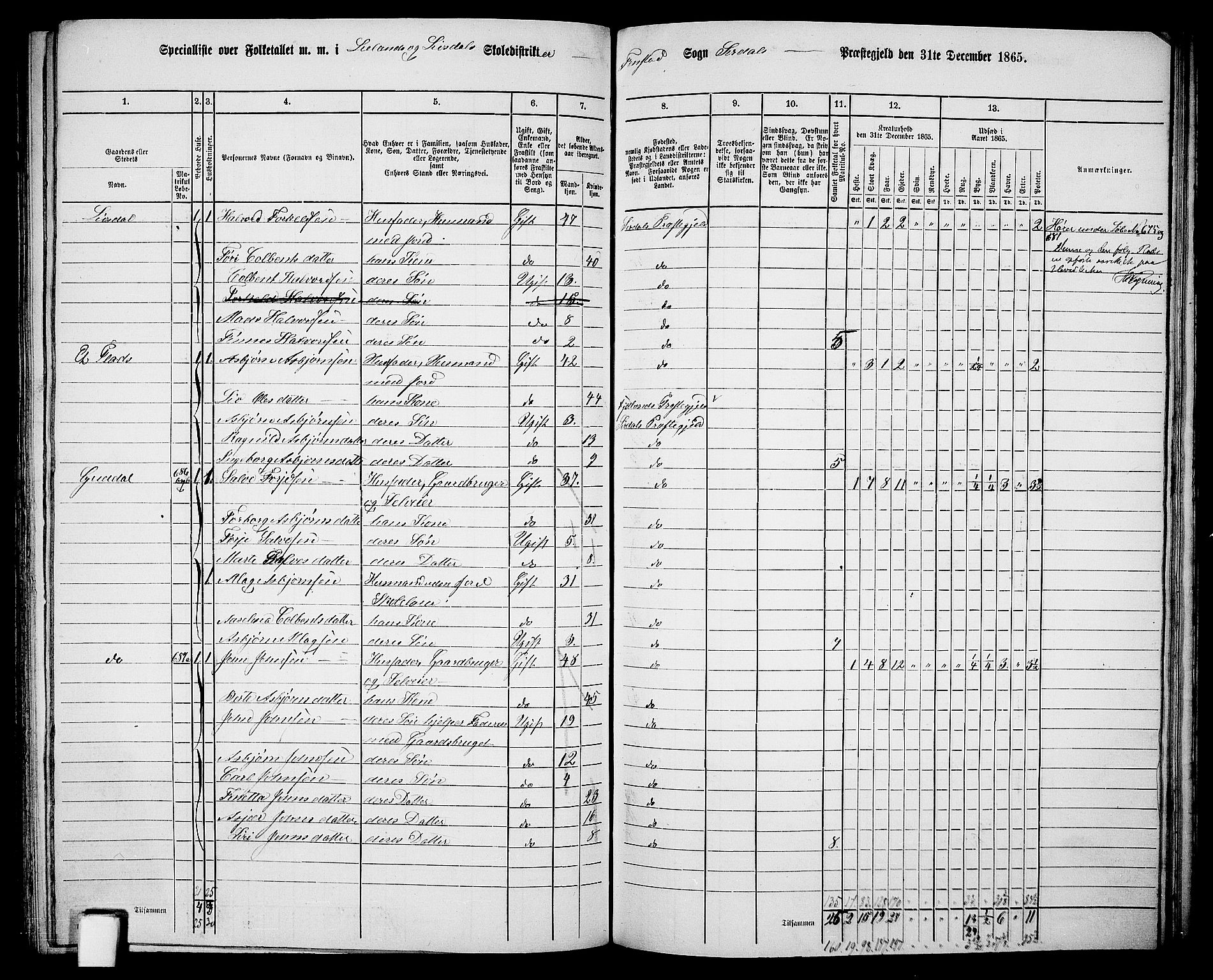 RA, Folketelling 1865 for 1046P Sirdal prestegjeld, 1865, s. 40