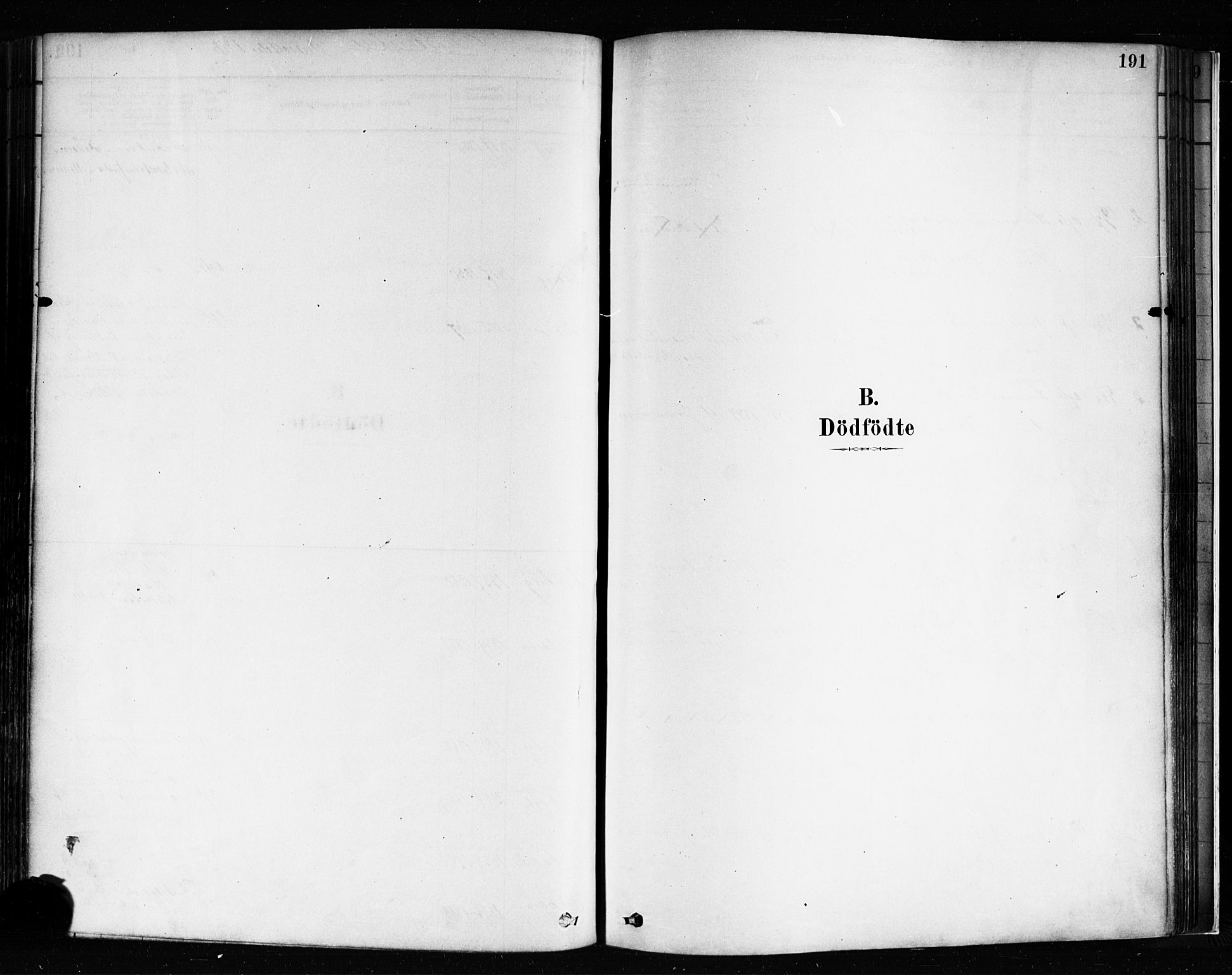 Idd prestekontor Kirkebøker, SAO/A-10911/F/Fc/L0006a: Ministerialbok nr. III 6A, 1878-1903, s. 191