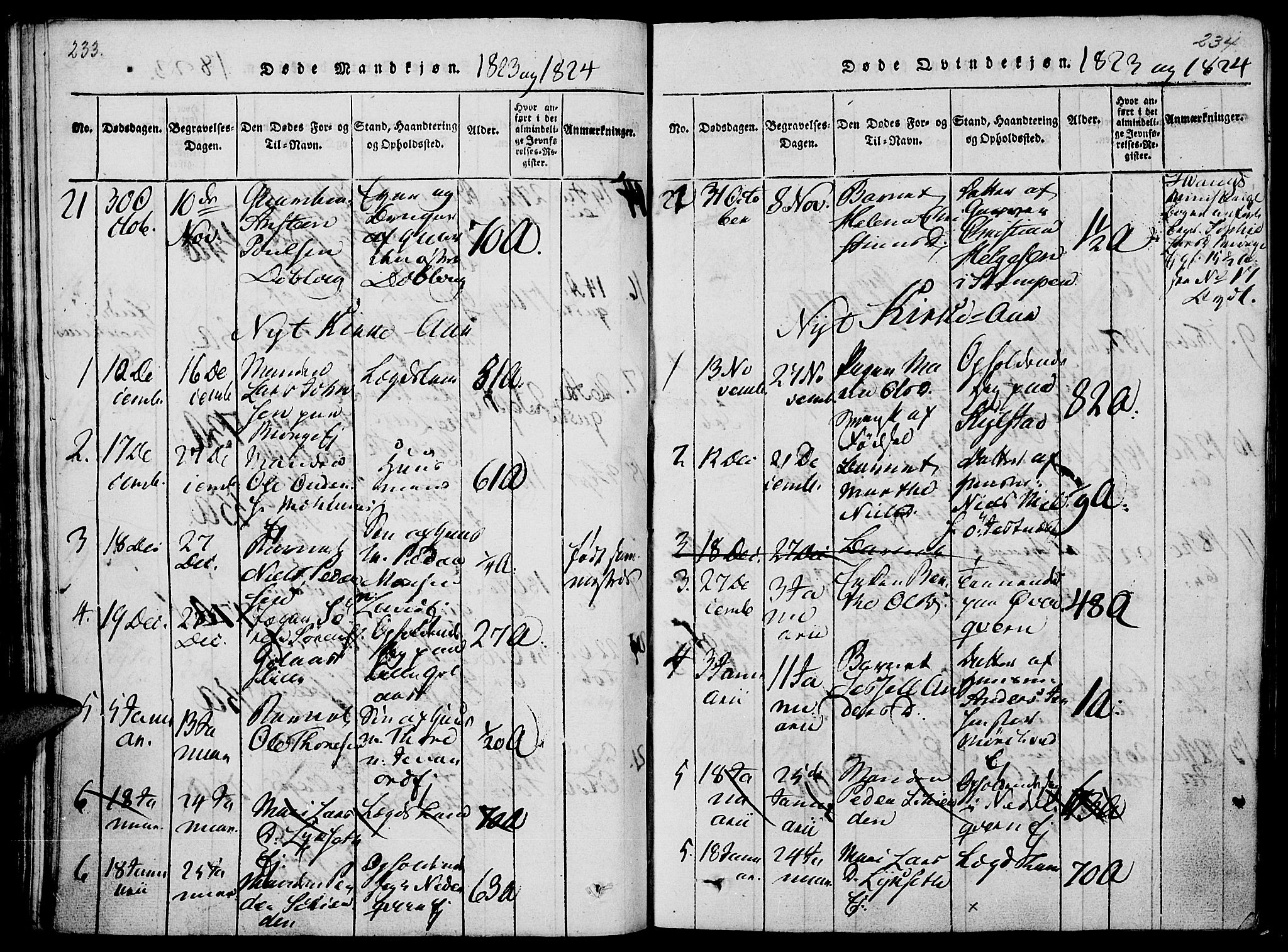 Vang prestekontor, Hedmark, AV/SAH-PREST-008/H/Ha/Haa/L0008: Ministerialbok nr. 8, 1815-1826, s. 233-234