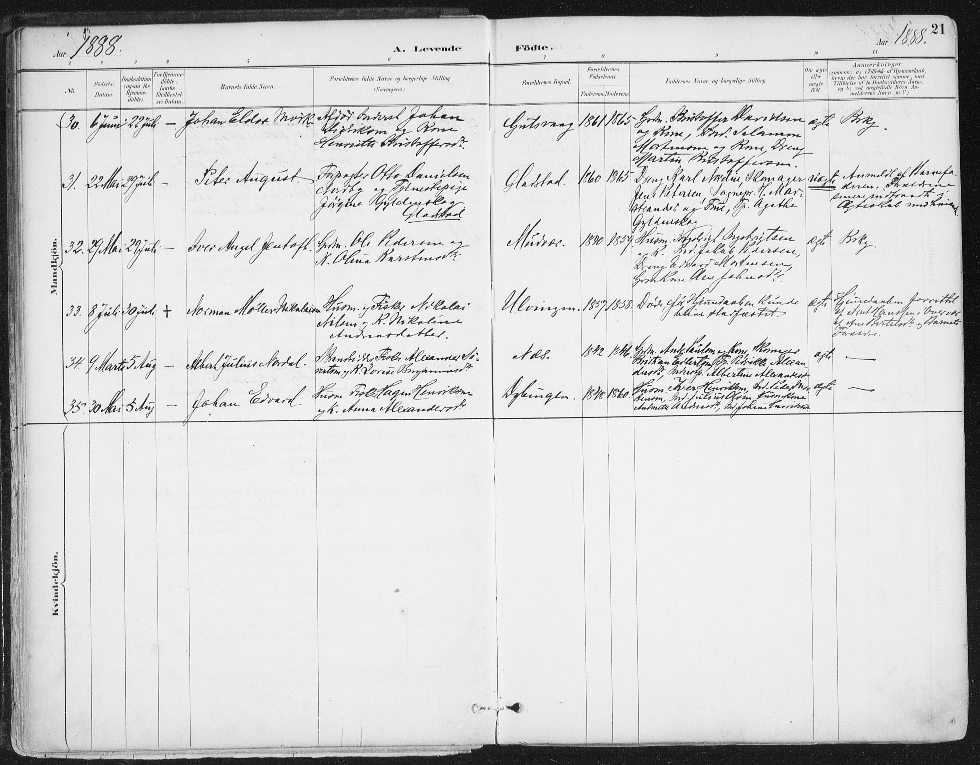 Ministerialprotokoller, klokkerbøker og fødselsregistre - Nordland, AV/SAT-A-1459/816/L0244: Ministerialbok nr. 816A10, 1886-1903, s. 21