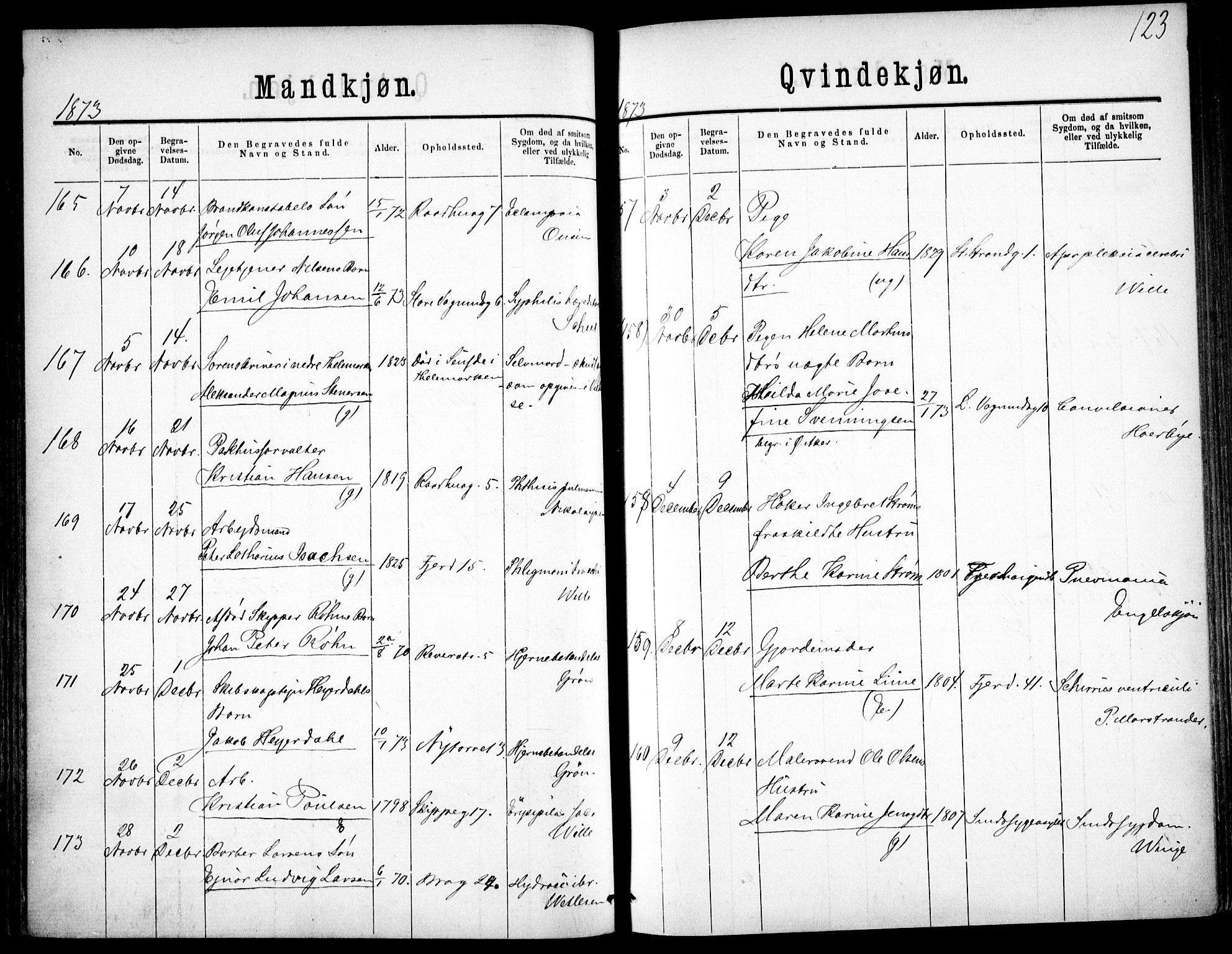 Oslo domkirke Kirkebøker, SAO/A-10752/F/Fa/L0026: Ministerialbok nr. 26, 1867-1884, s. 123