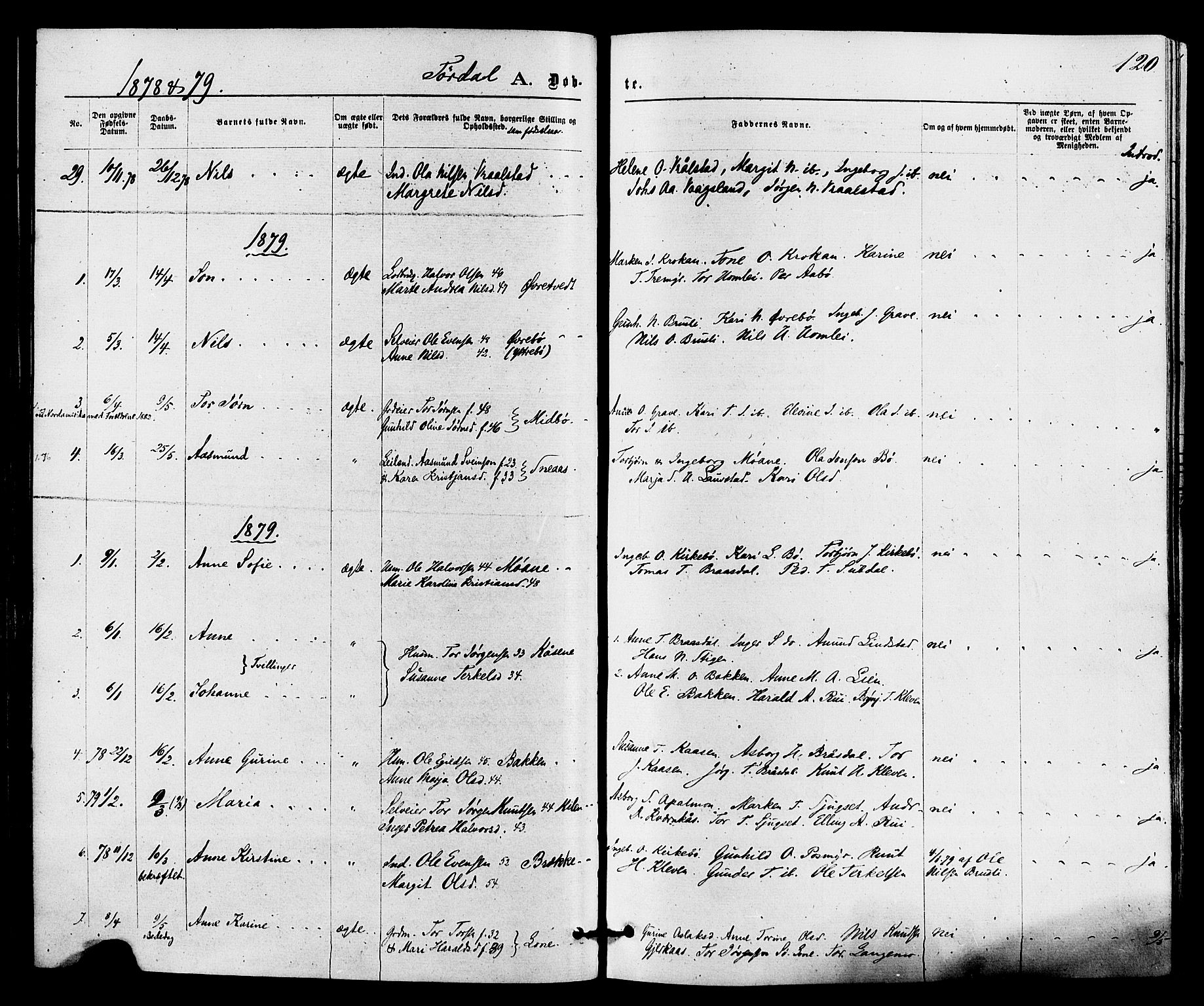 Drangedal kirkebøker, AV/SAKO-A-258/F/Fa/L0009: Ministerialbok nr. 9 /2, 1872-1884, s. 120