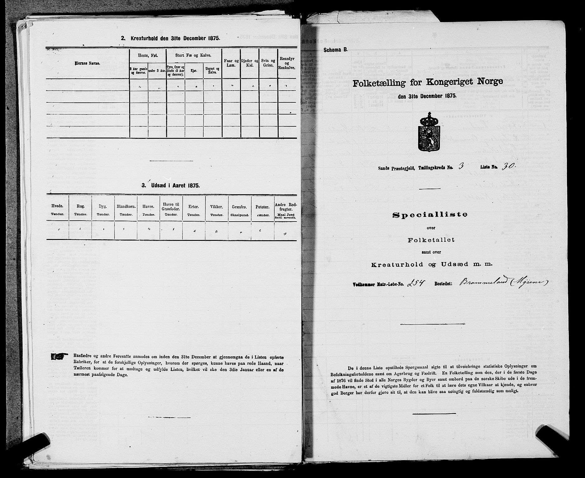 SAST, Folketelling 1875 for 1136P Sand prestegjeld, 1875, s. 323