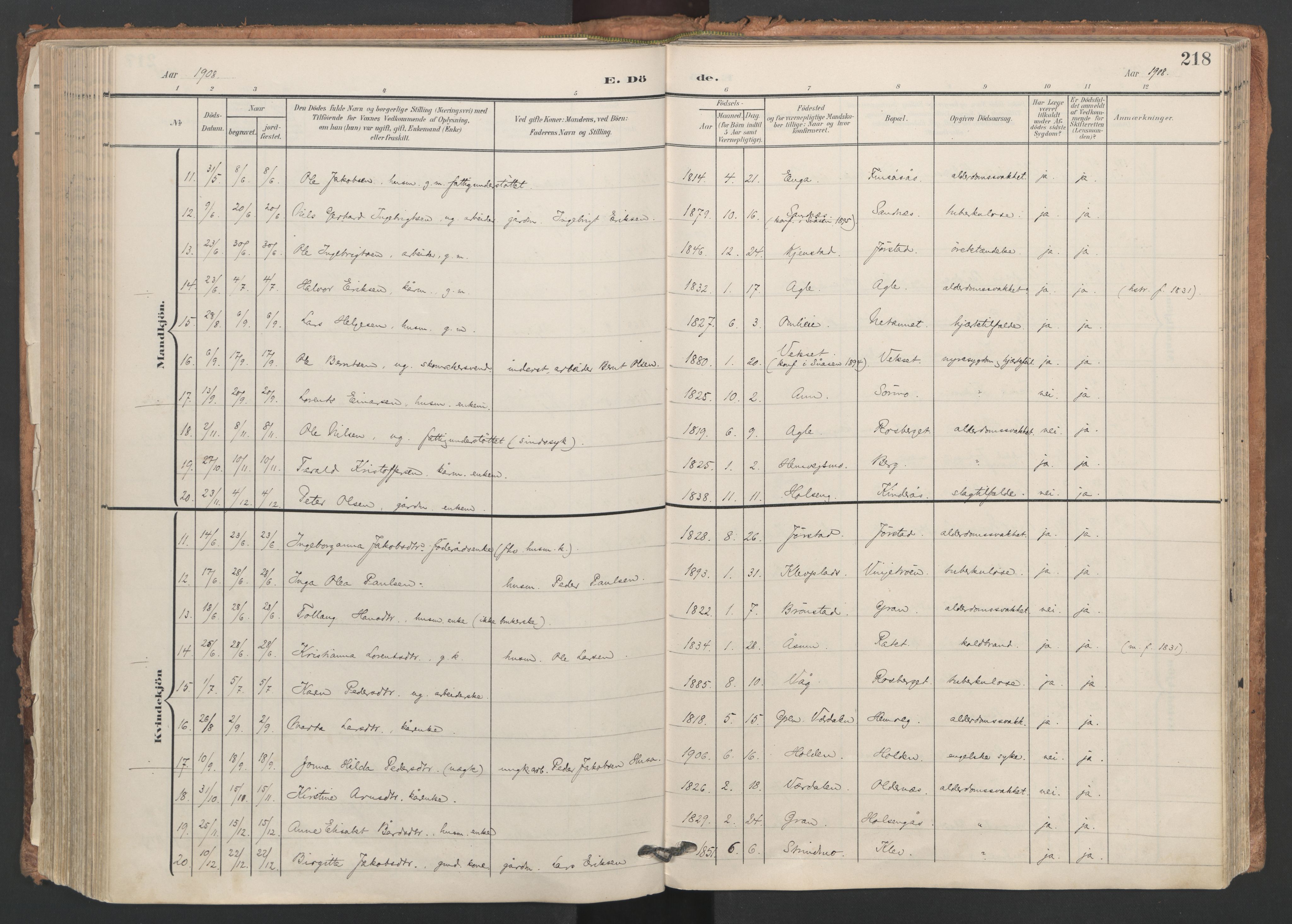 Ministerialprotokoller, klokkerbøker og fødselsregistre - Nord-Trøndelag, AV/SAT-A-1458/749/L0477: Ministerialbok nr. 749A11, 1902-1927, s. 218