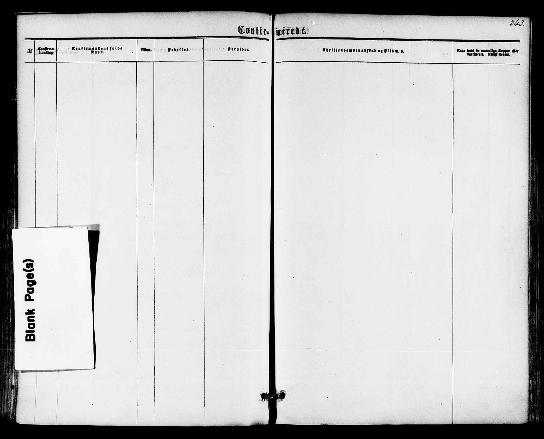 Hedrum kirkebøker, AV/SAKO-A-344/F/Fa/L0008: Ministerialbok nr. I 8, 1869-1880, s. 243