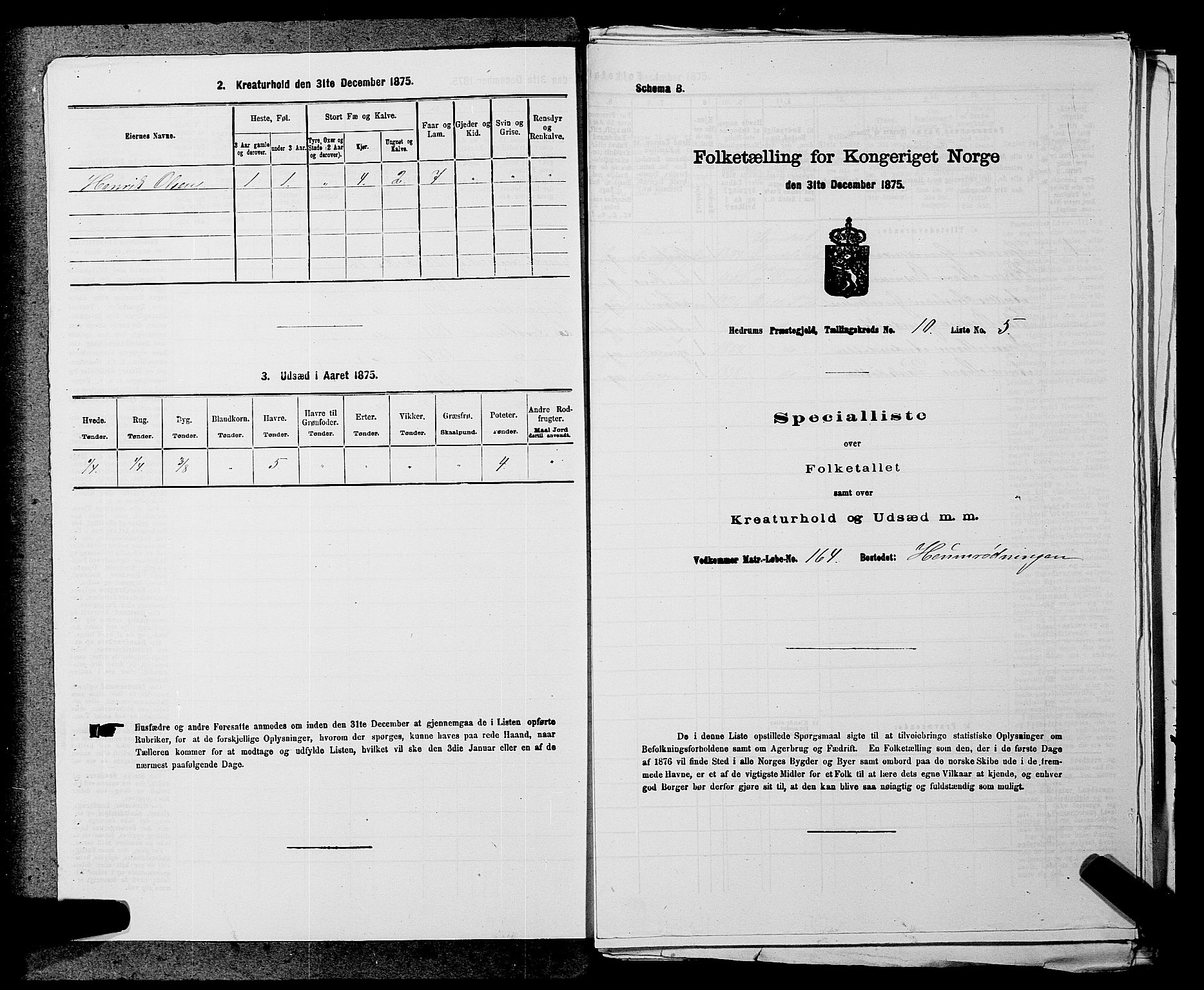 SAKO, Folketelling 1875 for 0727P Hedrum prestegjeld, 1875, s. 989