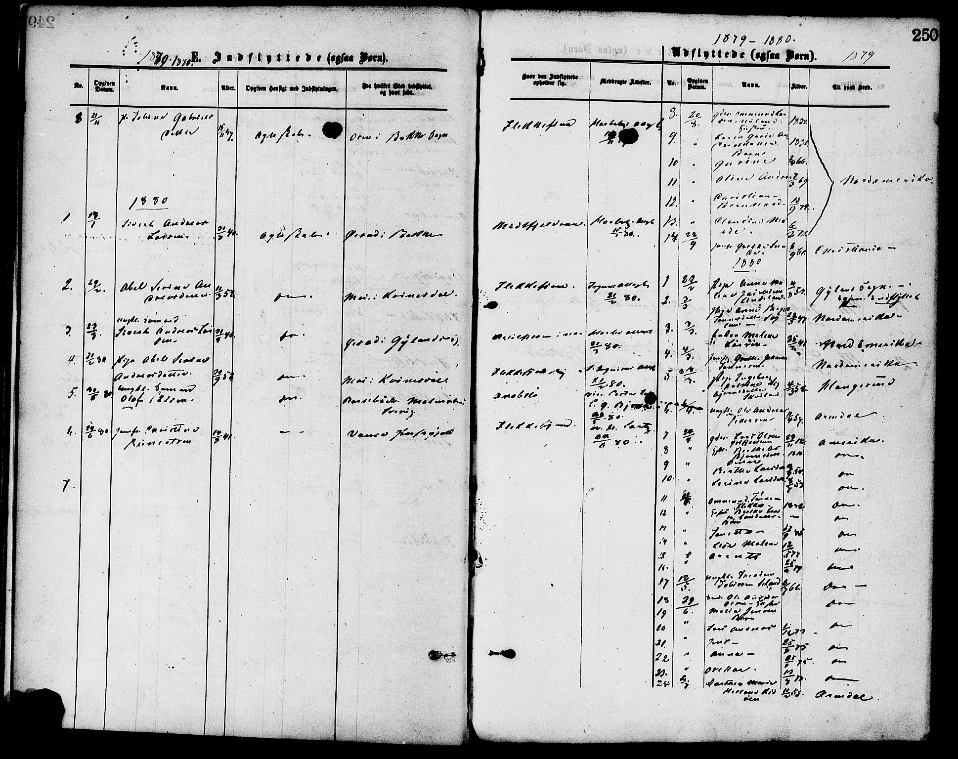 Flekkefjord sokneprestkontor, SAK/1111-0012/F/Fa/Fac/L0007: Ministerialbok nr. A 7, 1875-1885, s. 250