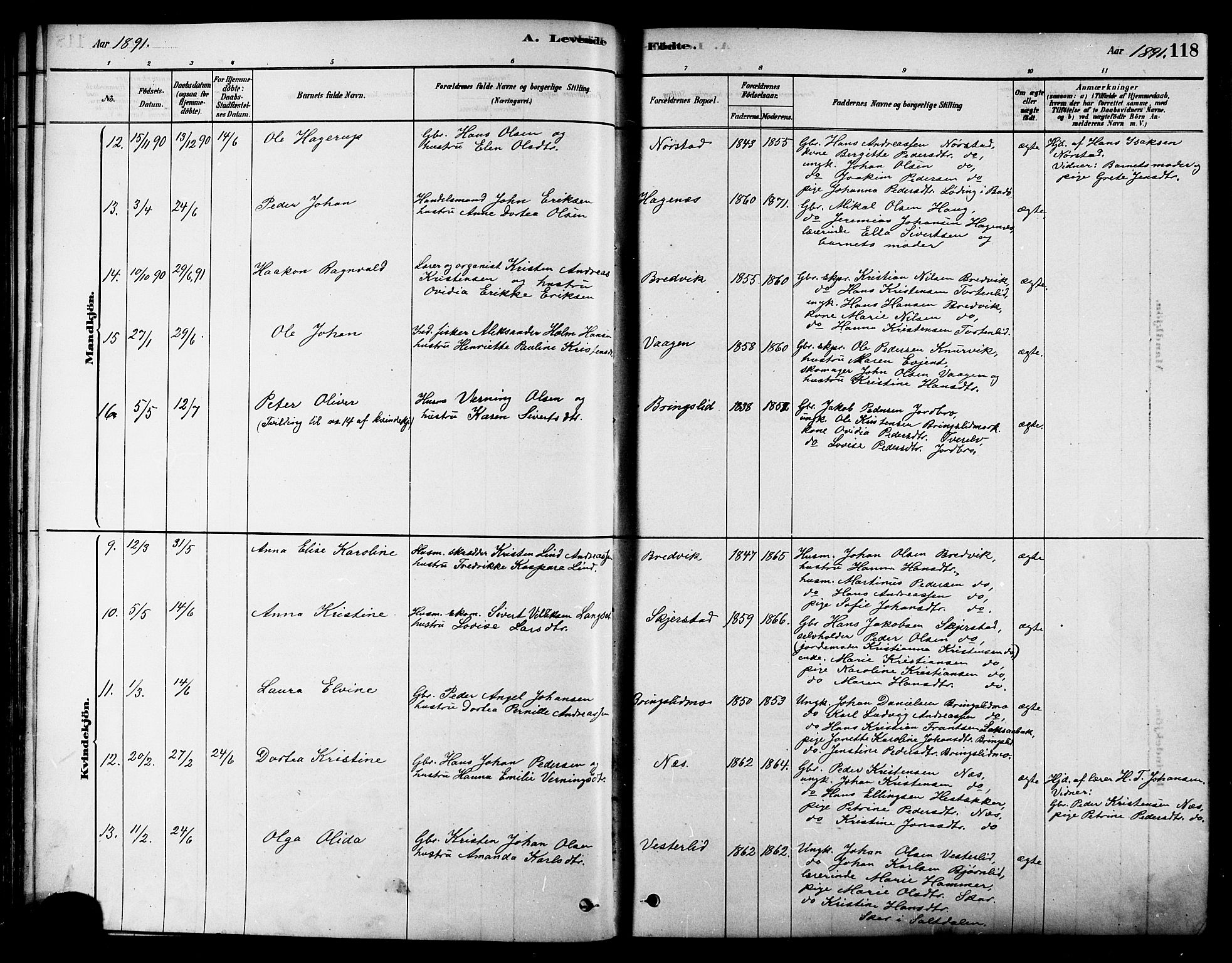 Ministerialprotokoller, klokkerbøker og fødselsregistre - Nordland, AV/SAT-A-1459/852/L0740: Ministerialbok nr. 852A10, 1878-1894, s. 118