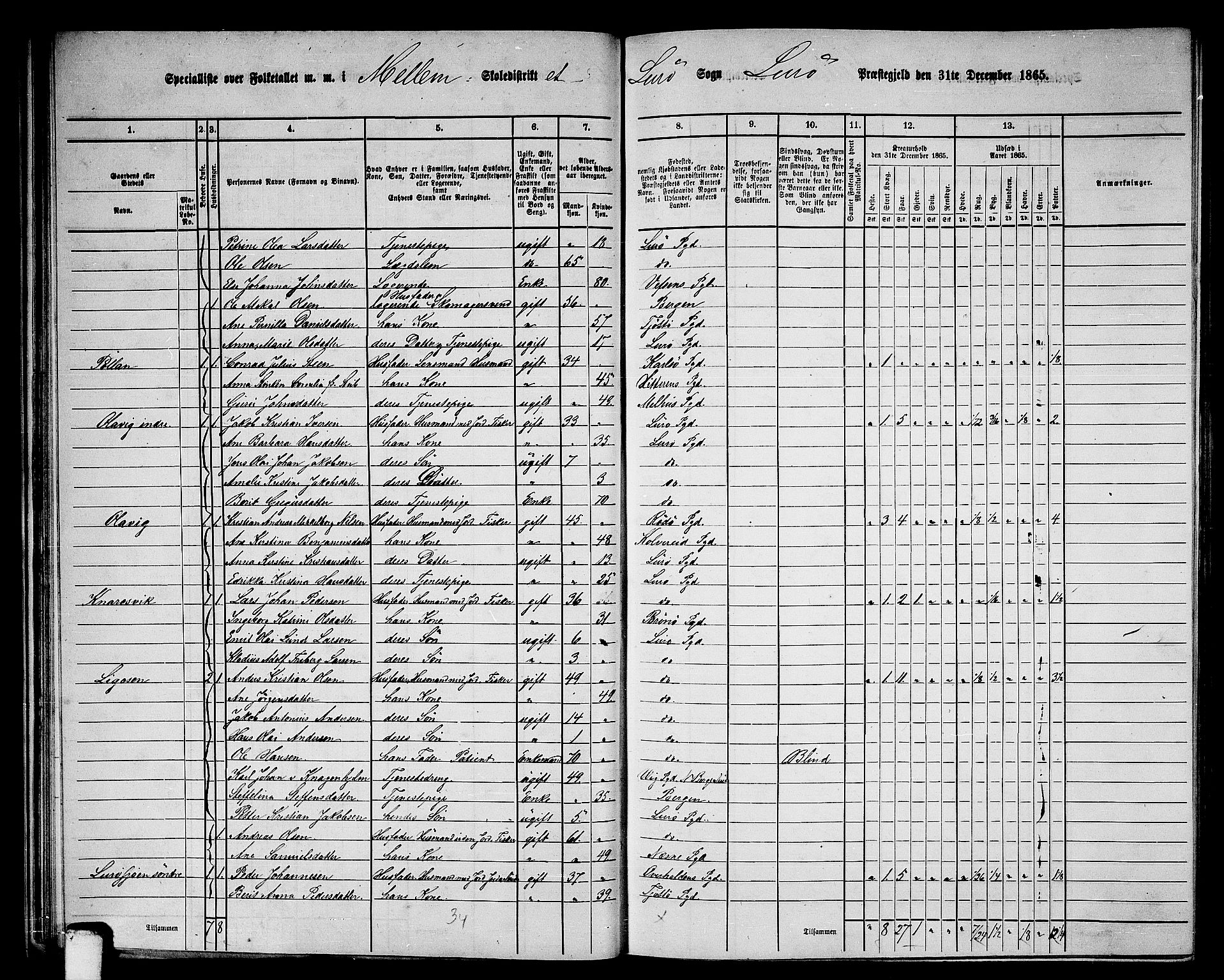RA, Folketelling 1865 for 1834P Lurøy prestegjeld, 1865, s. 35