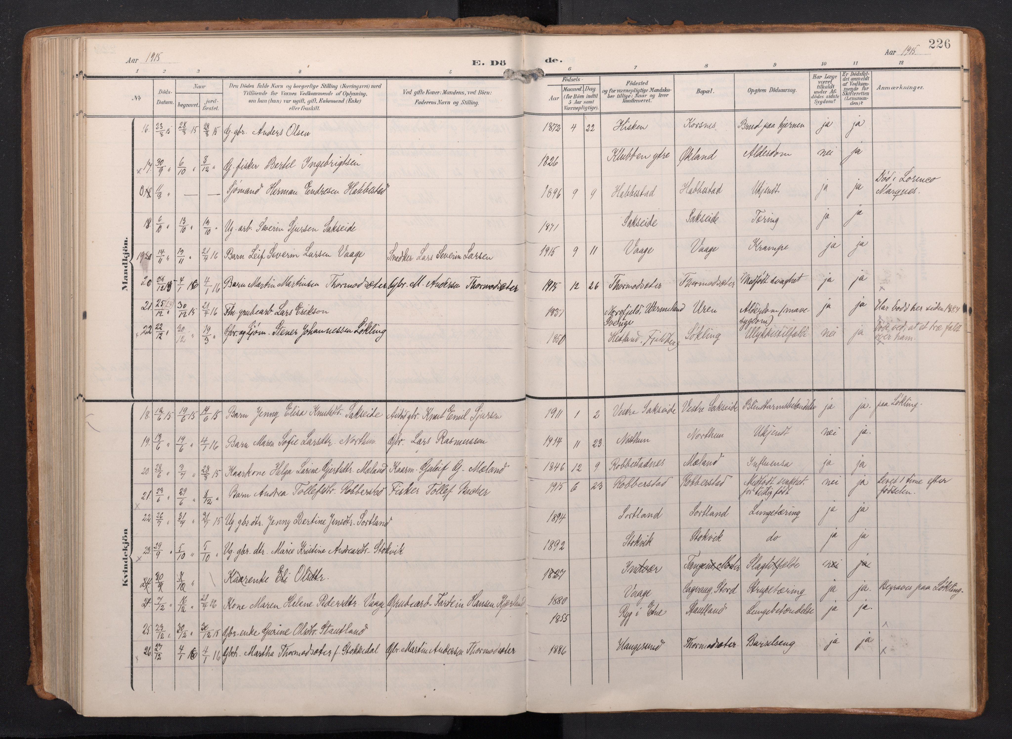 Finnås sokneprestembete, AV/SAB-A-99925/H/Ha/Haa/Haac/L0003: Ministerialbok nr. C 3, 1905-1917, s. 226