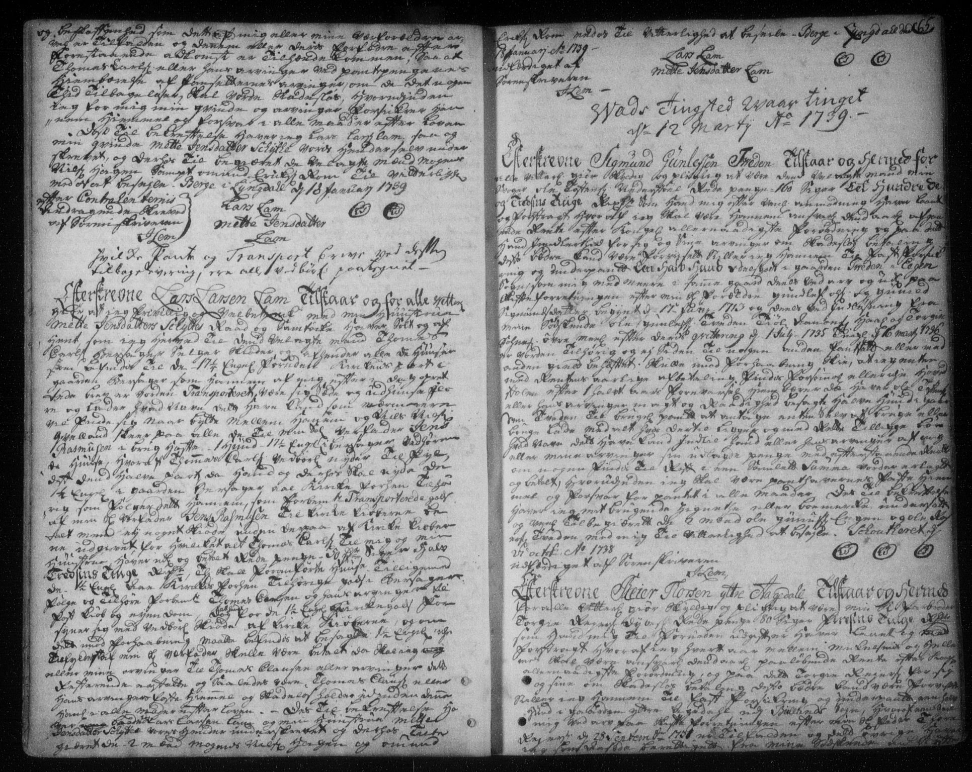 Lister sorenskriveri, SAK/1221-0003/G/Gb/L0003: Pantebok nr. 2, 1738-1744, s. 65