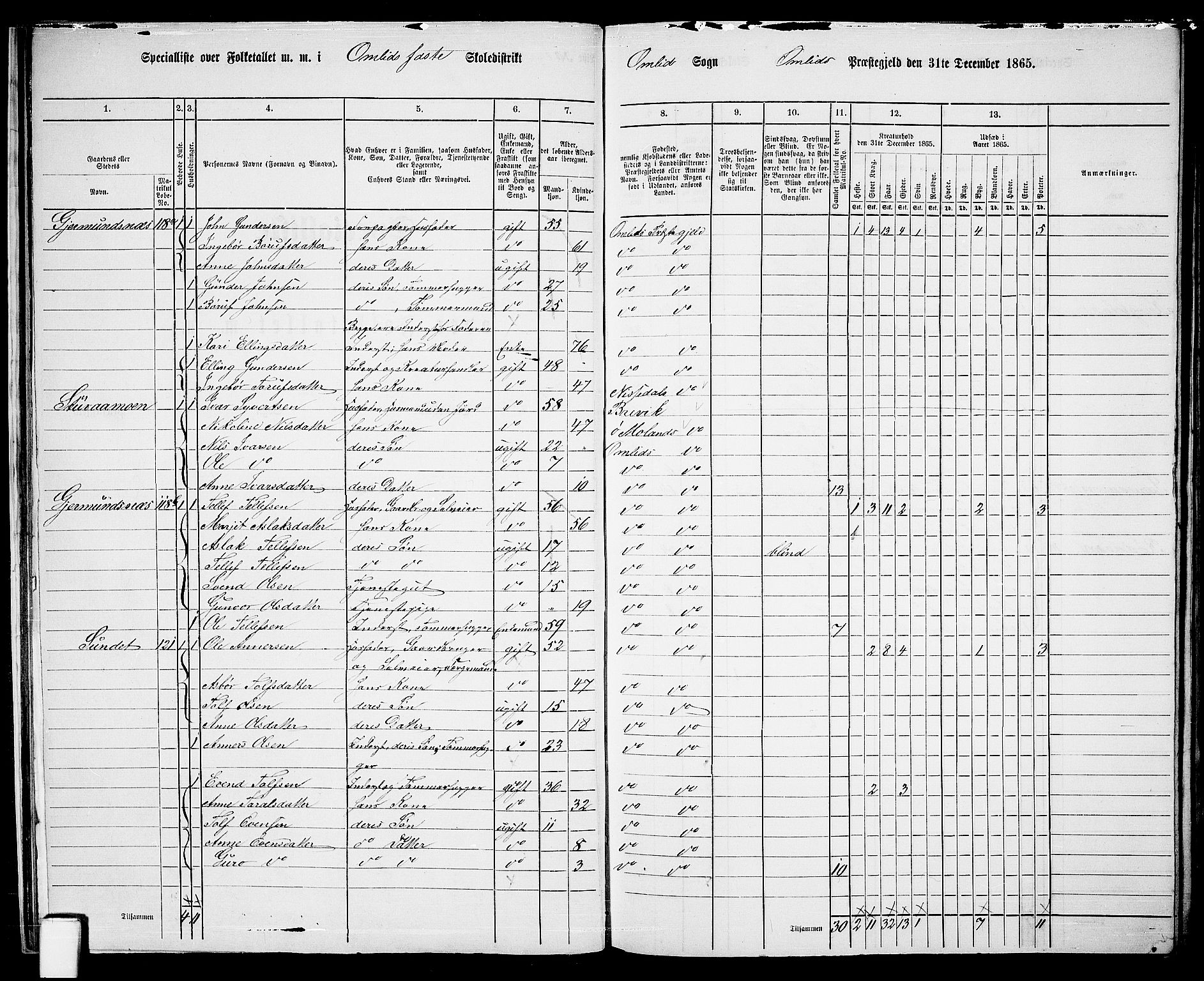 RA, Folketelling 1865 for 0929P Åmli prestegjeld, 1865, s. 26