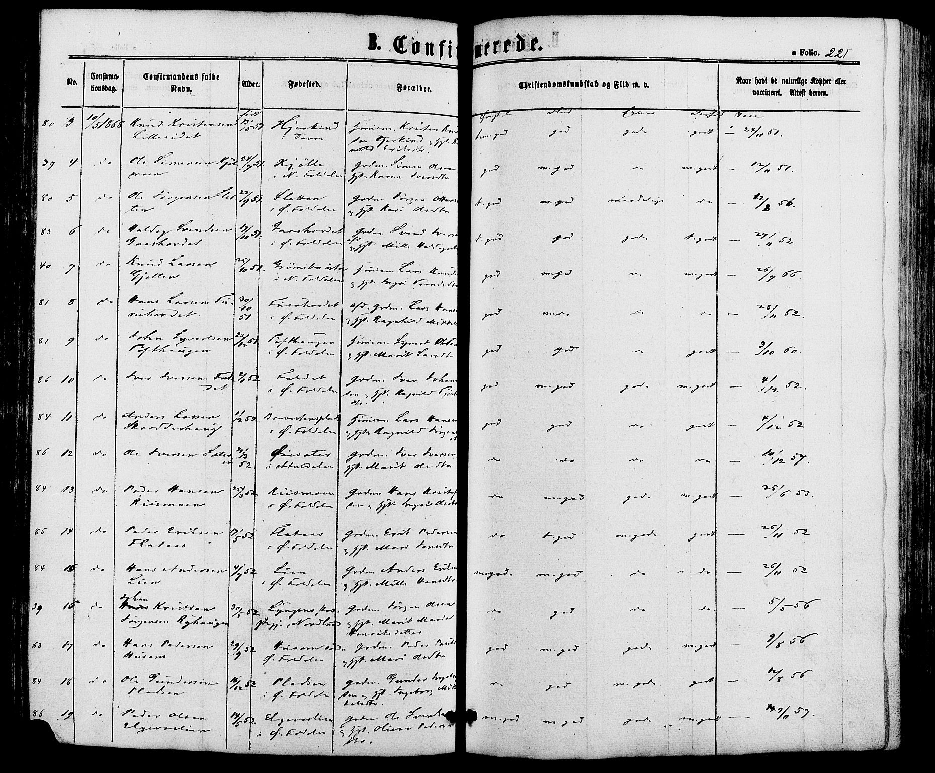 Alvdal prestekontor, SAH/PREST-060/H/Ha/Haa/L0001: Ministerialbok nr. 1, 1863-1882, s. 221