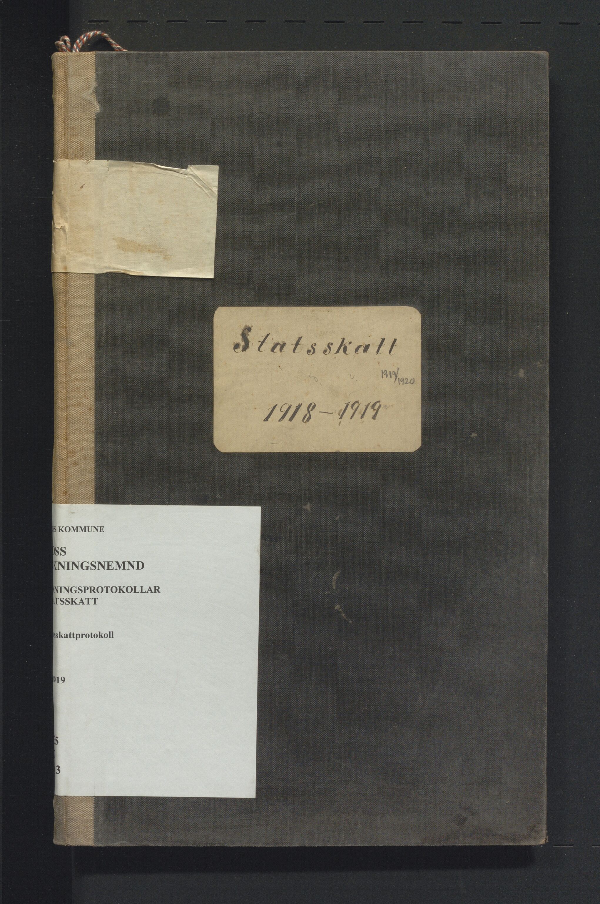 Voss kommune. Likningsnemnda, IKAH/1235-142/F/Fb/L0003: Statsskattprotokoll, 1918-1919