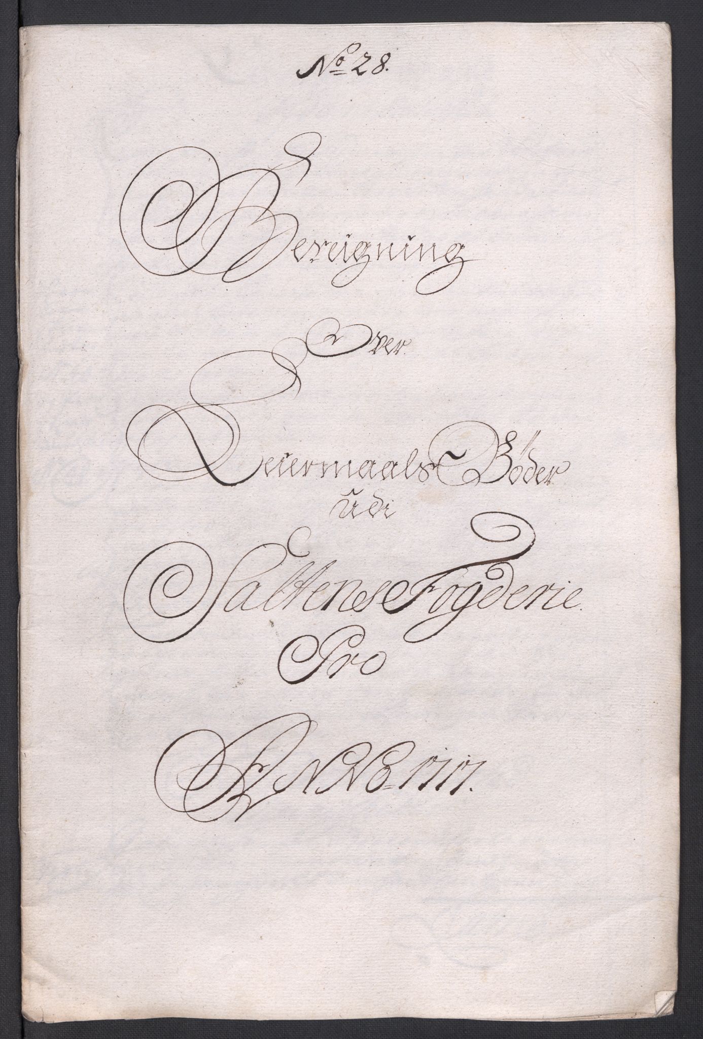 Rentekammeret inntil 1814, Reviderte regnskaper, Fogderegnskap, RA/EA-4092/R66/L4587: Fogderegnskap Salten, 1717, s. 292