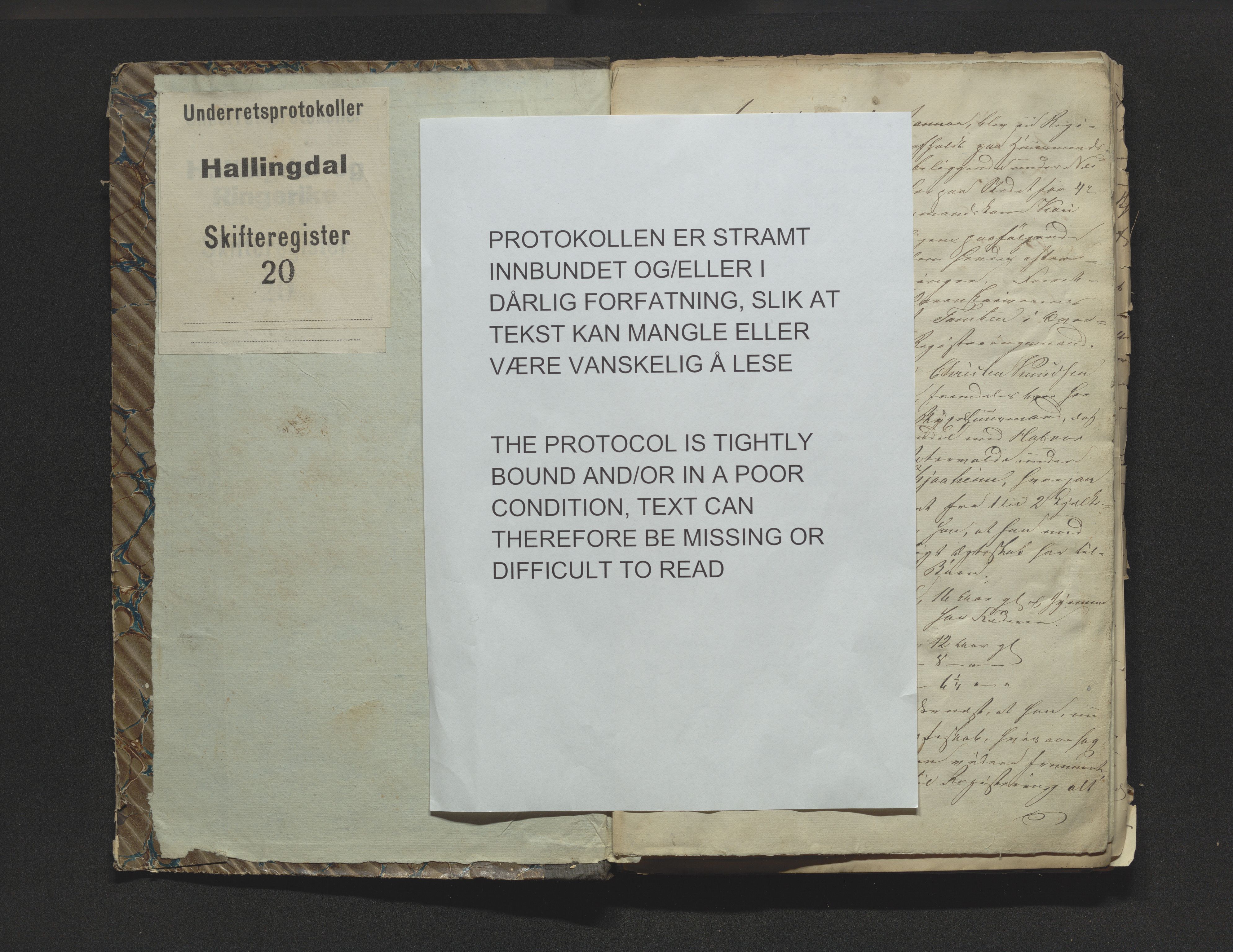 Hallingdal sorenskriveri, SAKO/A-121/H/Hb/Hbb/Hbba/L0020: Skifteregistreringsprotokoll, Sorenskriveriet, 1848