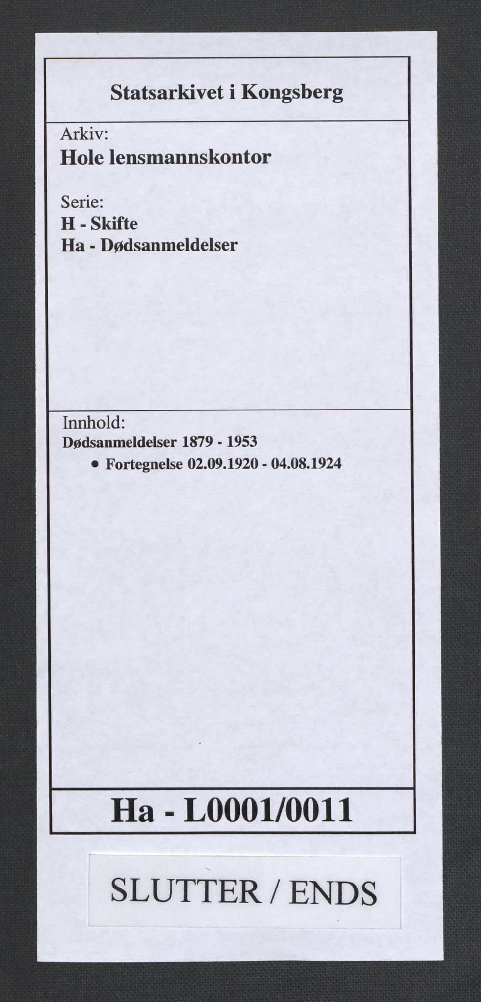 Hole lensmannskontor, AV/SAKO-A-513/H/Ha/L0001/0011: Dødsanmeldelser / Dødsanmeldelser, 1920-1924