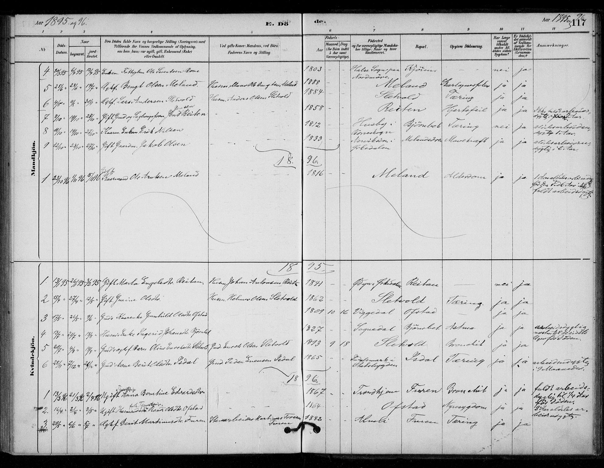 Ministerialprotokoller, klokkerbøker og fødselsregistre - Sør-Trøndelag, AV/SAT-A-1456/670/L0836: Ministerialbok nr. 670A01, 1879-1904, s. 117