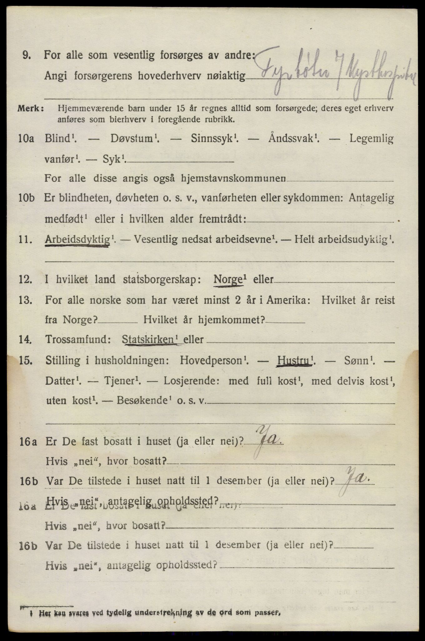 SAKO, Folketelling 1920 for 0726 Brunlanes herred, 1920, s. 3858