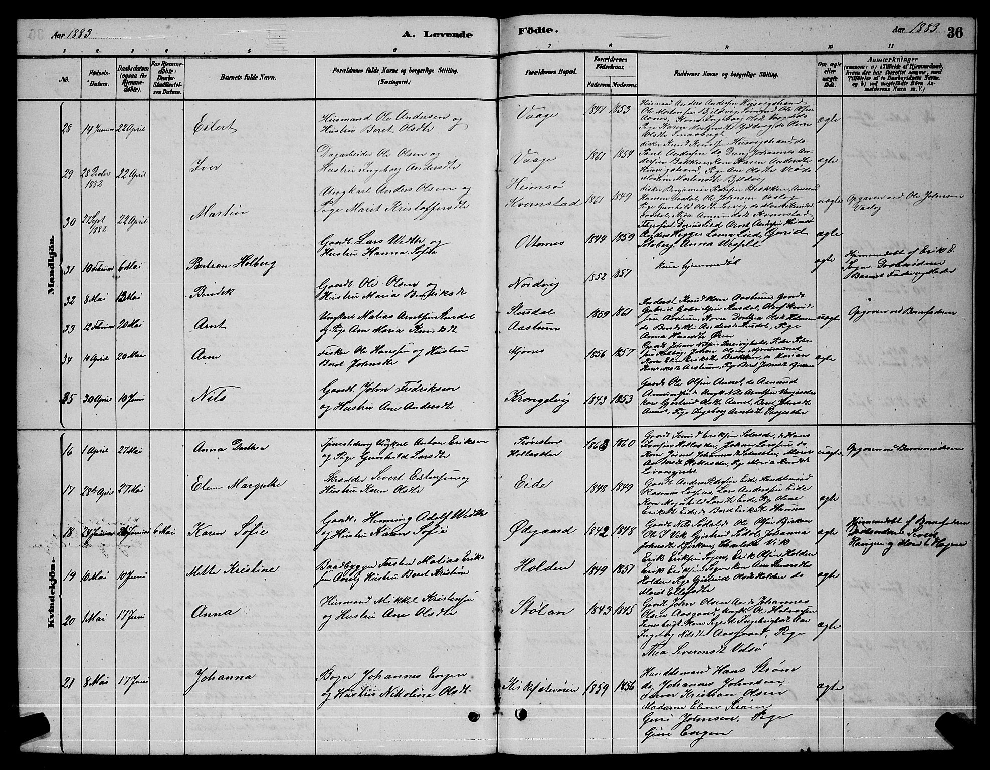 Ministerialprotokoller, klokkerbøker og fødselsregistre - Sør-Trøndelag, AV/SAT-A-1456/630/L0504: Klokkerbok nr. 630C02, 1879-1898, s. 36