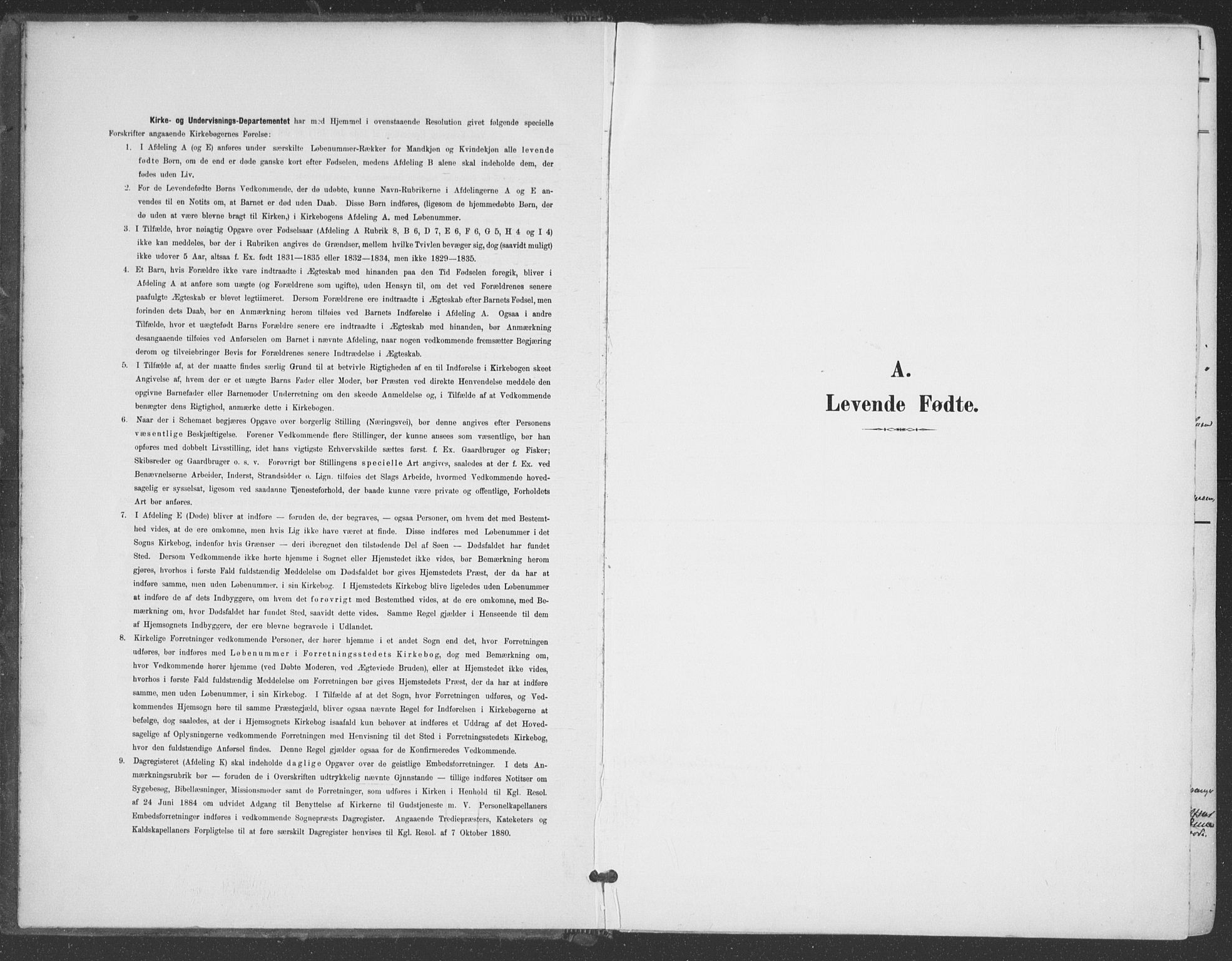 Åmli sokneprestkontor, SAK/1111-0050/F/Fa/Fac/L0012: Ministerialbok nr. A 12, 1900-1914