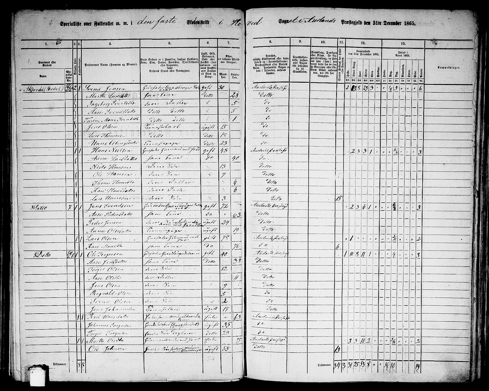 RA, Folketelling 1865 for 1421P Aurland prestegjeld, 1865, s. 11
