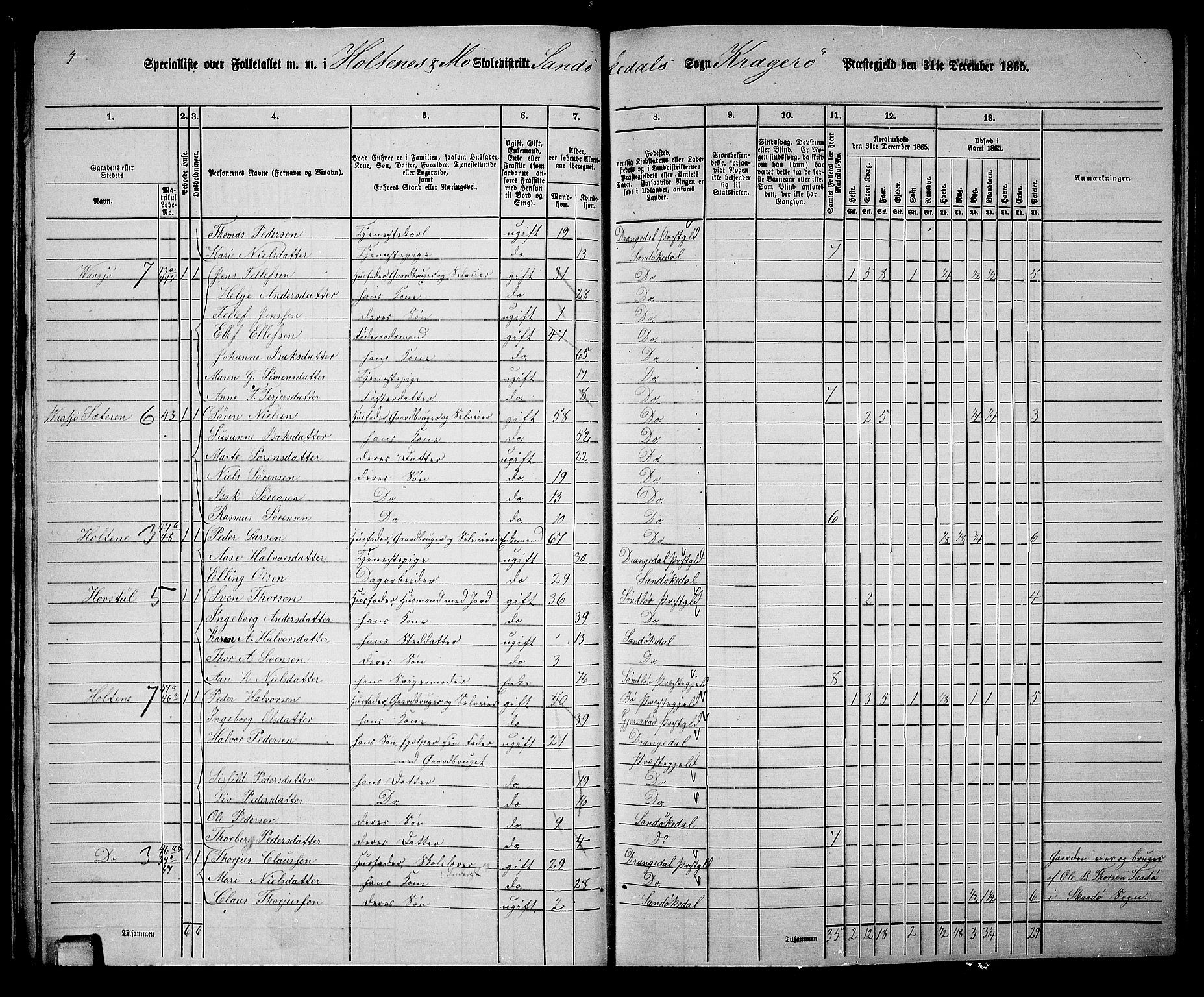 RA, Folketelling 1865 for 0816L Kragerø prestegjeld, Sannidal sokn og Skåtøy sokn, 1865, s. 29