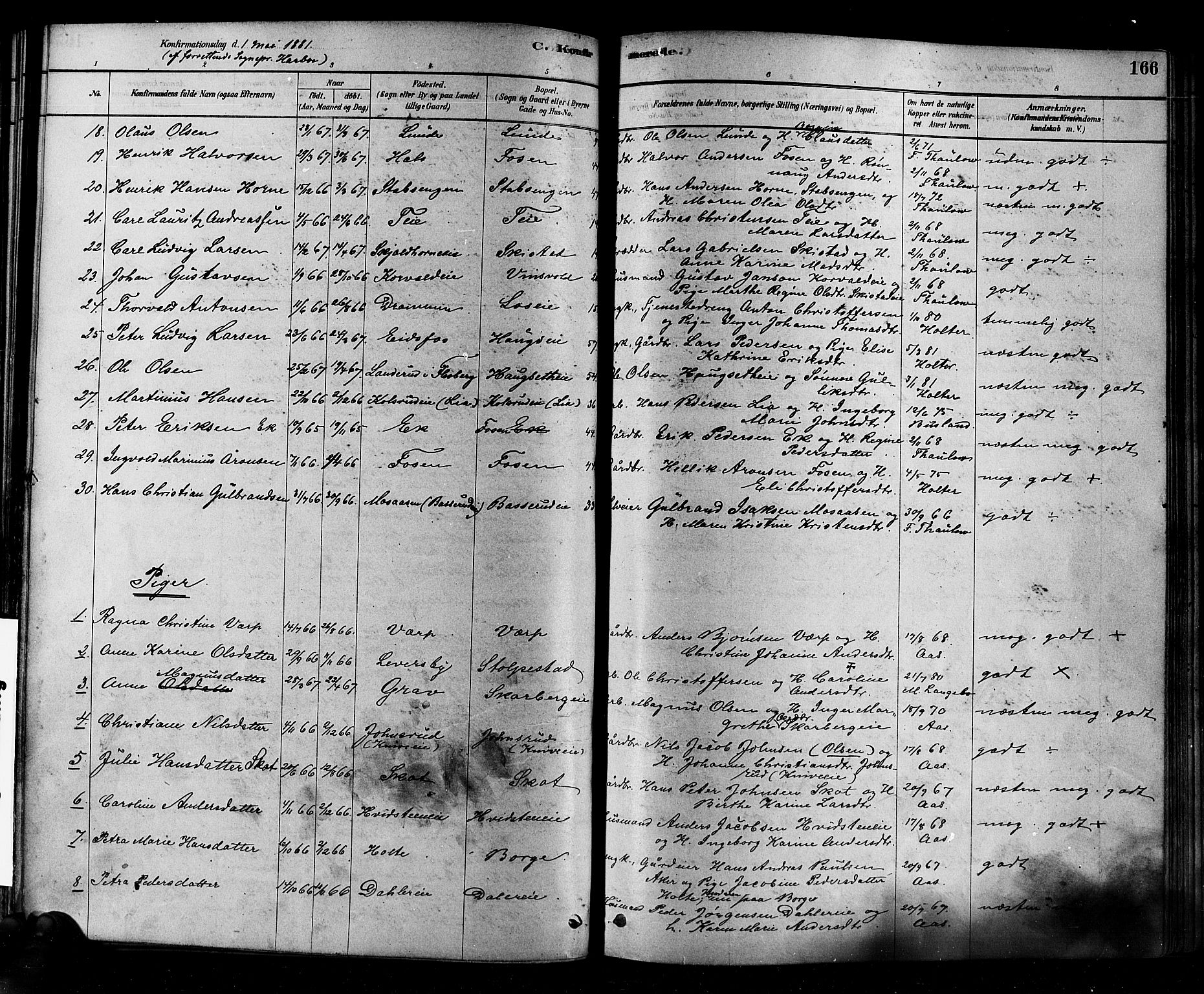 Eiker kirkebøker, AV/SAKO-A-4/F/Fb/L0001: Ministerialbok nr. II 1, 1878-1888, s. 166