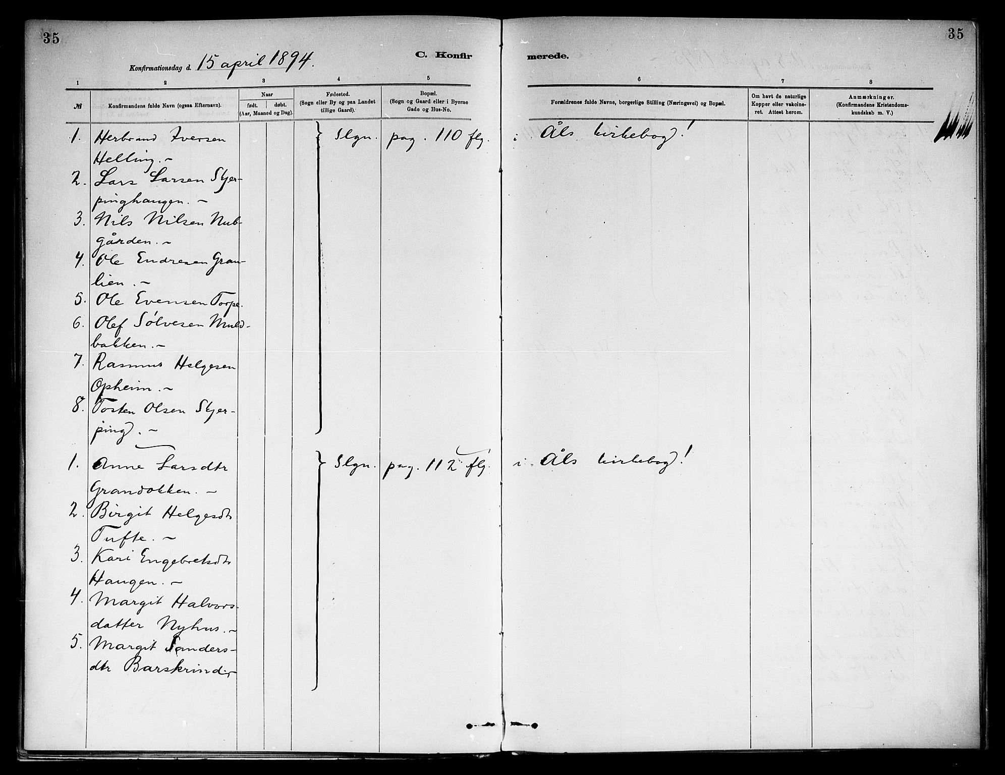 Ål kirkebøker, AV/SAKO-A-249/F/Fb/L0001: Ministerialbok nr. II 1, 1882-1899, s. 35