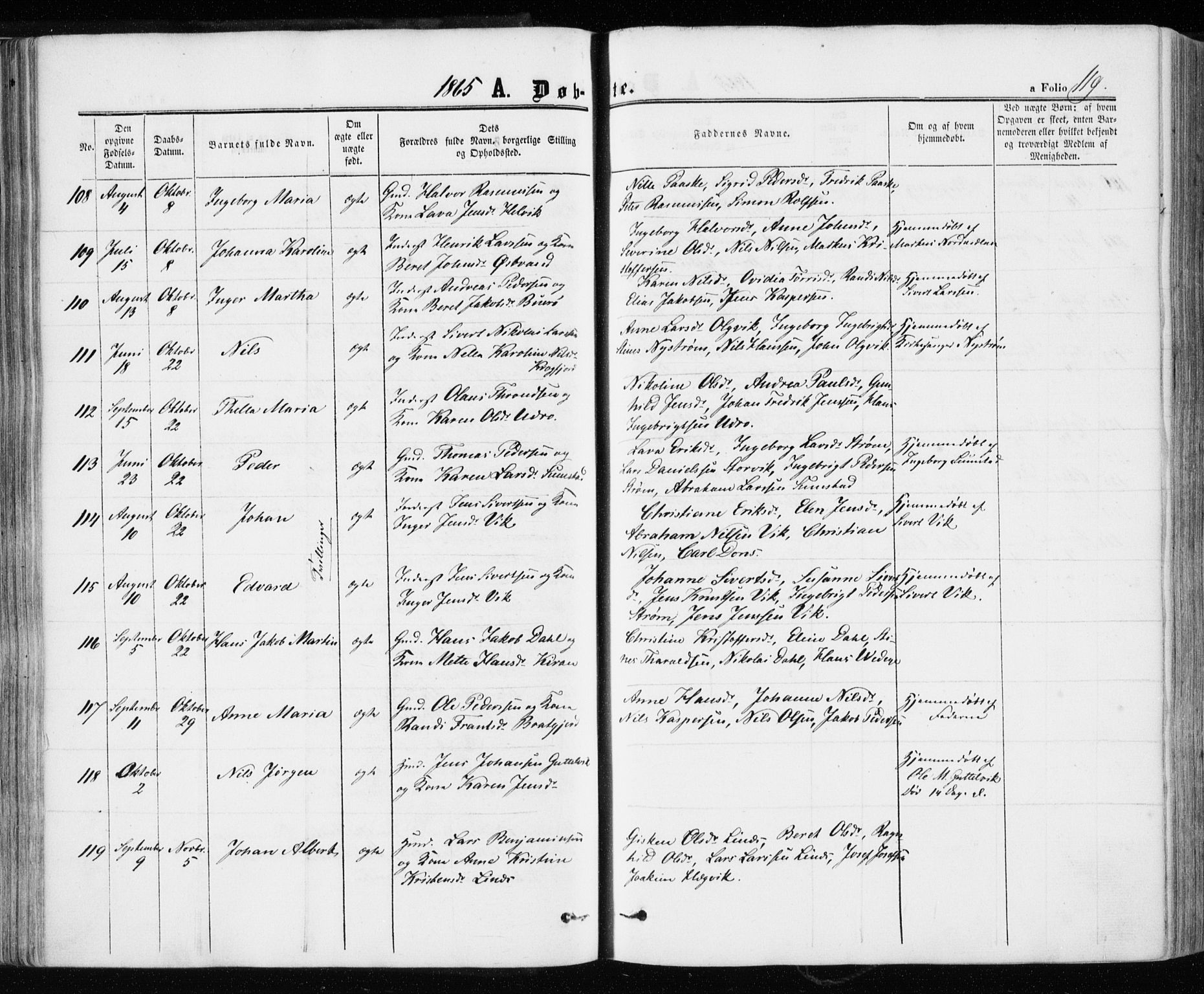 Ministerialprotokoller, klokkerbøker og fødselsregistre - Sør-Trøndelag, AV/SAT-A-1456/657/L0705: Ministerialbok nr. 657A06, 1858-1867, s. 119
