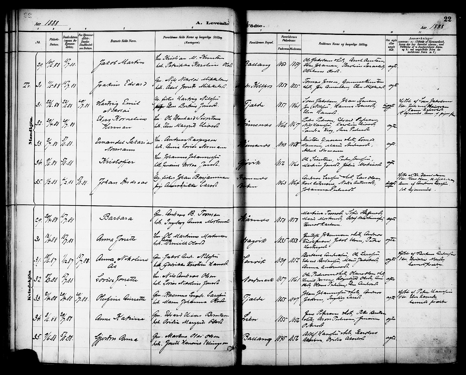 Ministerialprotokoller, klokkerbøker og fødselsregistre - Nordland, AV/SAT-A-1459/863/L0898: Ministerialbok nr. 863A10, 1886-1897, s. 22