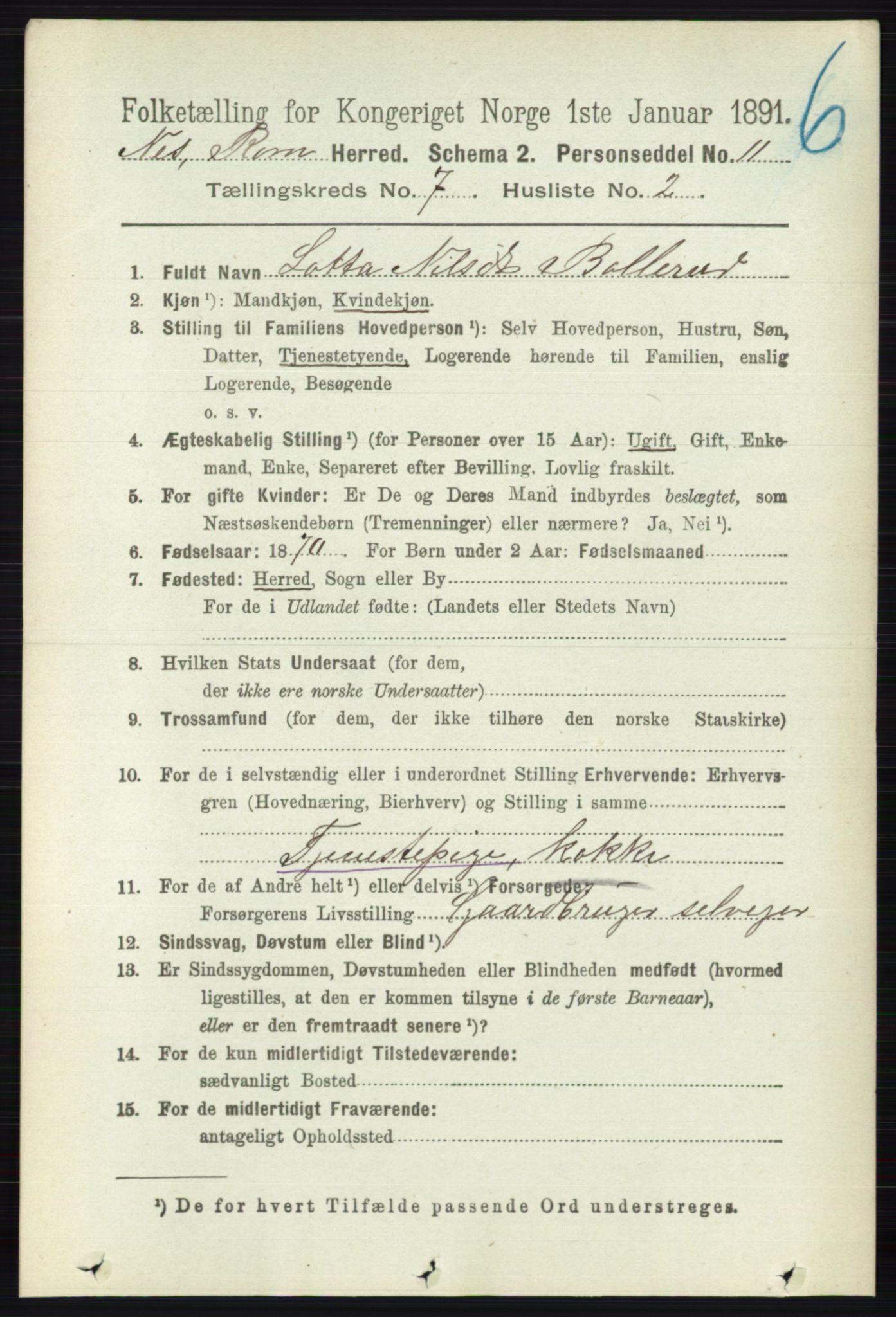 RA, Folketelling 1891 for 0236 Nes herred, 1891, s. 4035