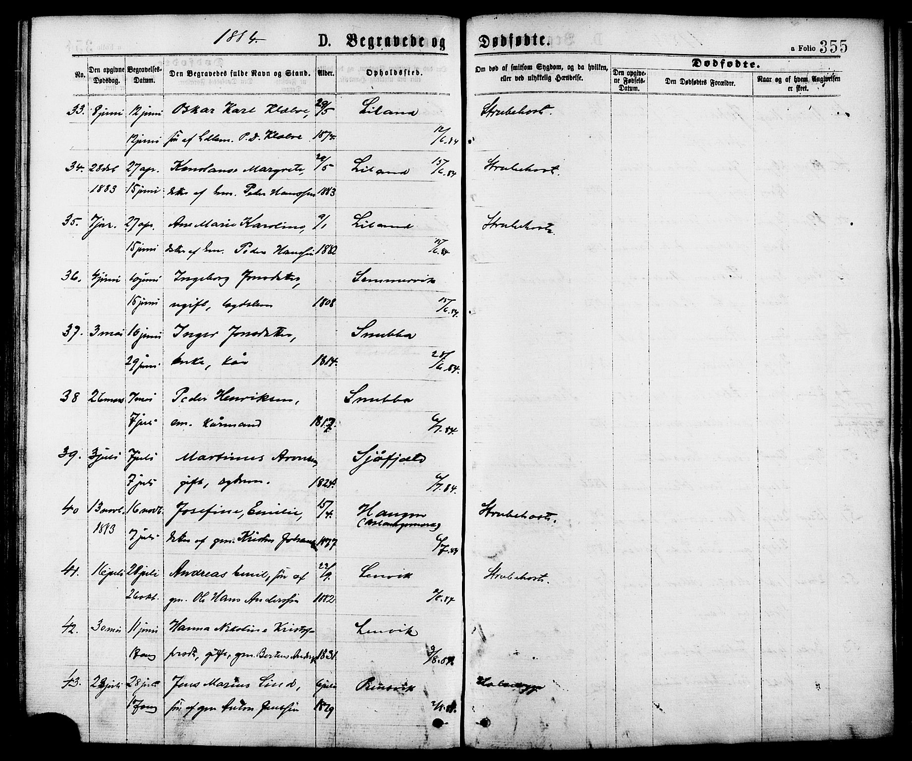 Ministerialprotokoller, klokkerbøker og fødselsregistre - Nordland, AV/SAT-A-1459/863/L0897: Ministerialbok nr. 863A09, 1872-1886, s. 355