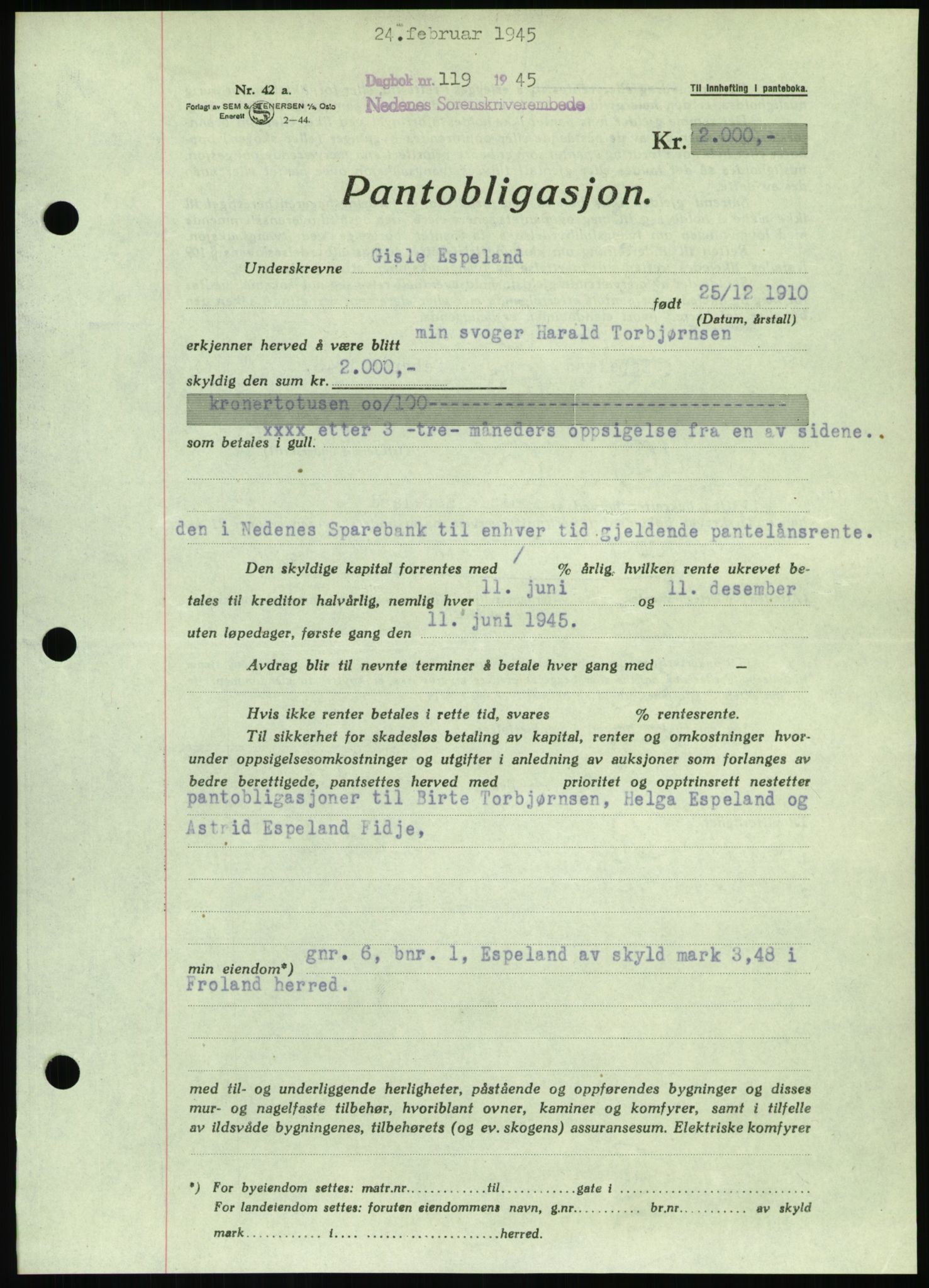 Nedenes sorenskriveri, SAK/1221-0006/G/Gb/Gbb/L0002: Pantebok nr. II, 1942-1945, Dagboknr: 119/1945