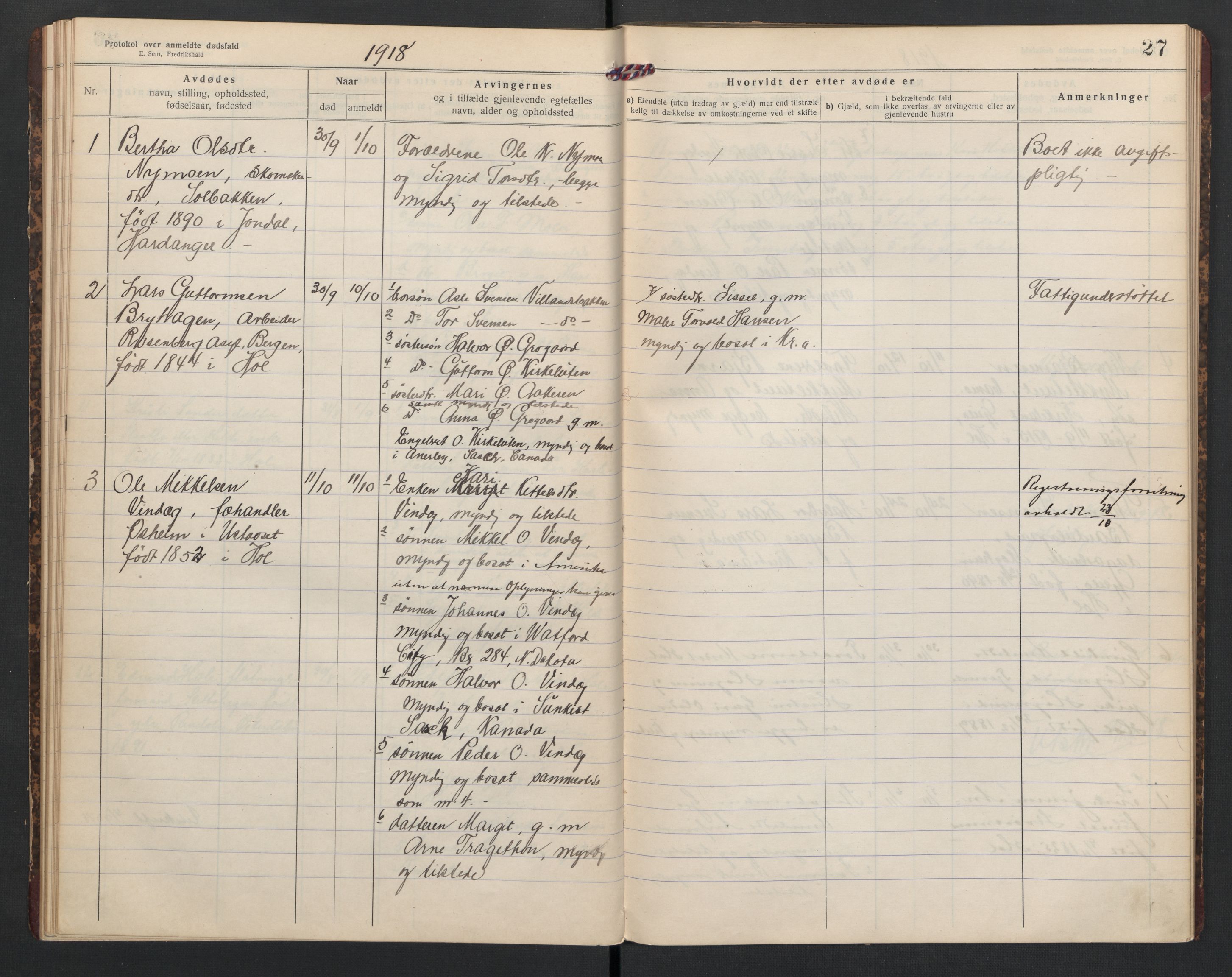 Hol lensmannskontor, AV/SAKO-A-512/H/Ha/L0005: Dødsanmeldelsesprotokoll, 1917-1924, s. 27