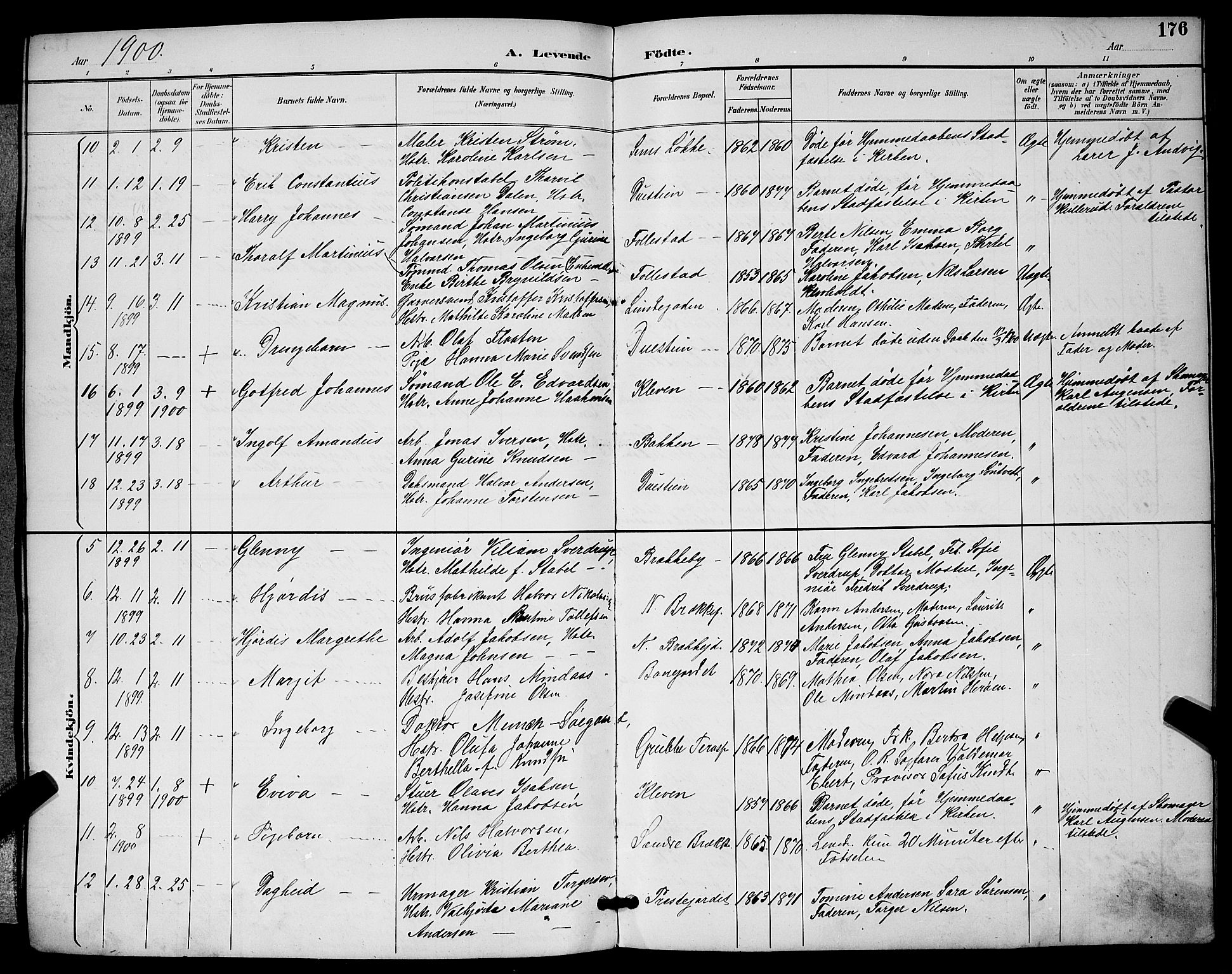 Skien kirkebøker, AV/SAKO-A-302/G/Ga/L0007: Klokkerbok nr. 7, 1891-1900, s. 176