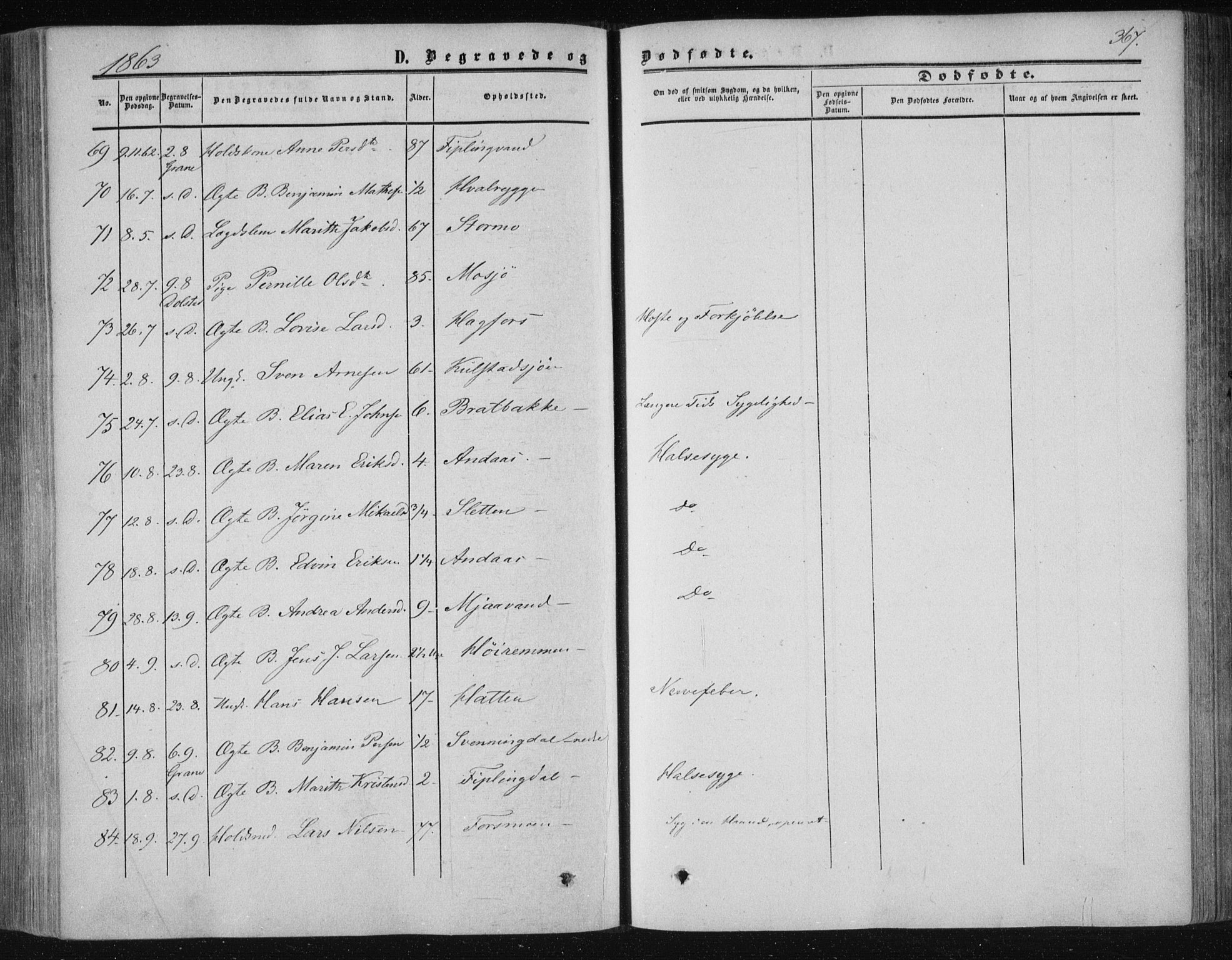 Ministerialprotokoller, klokkerbøker og fødselsregistre - Nordland, AV/SAT-A-1459/820/L0293: Ministerialbok nr. 820A14, 1855-1865, s. 367