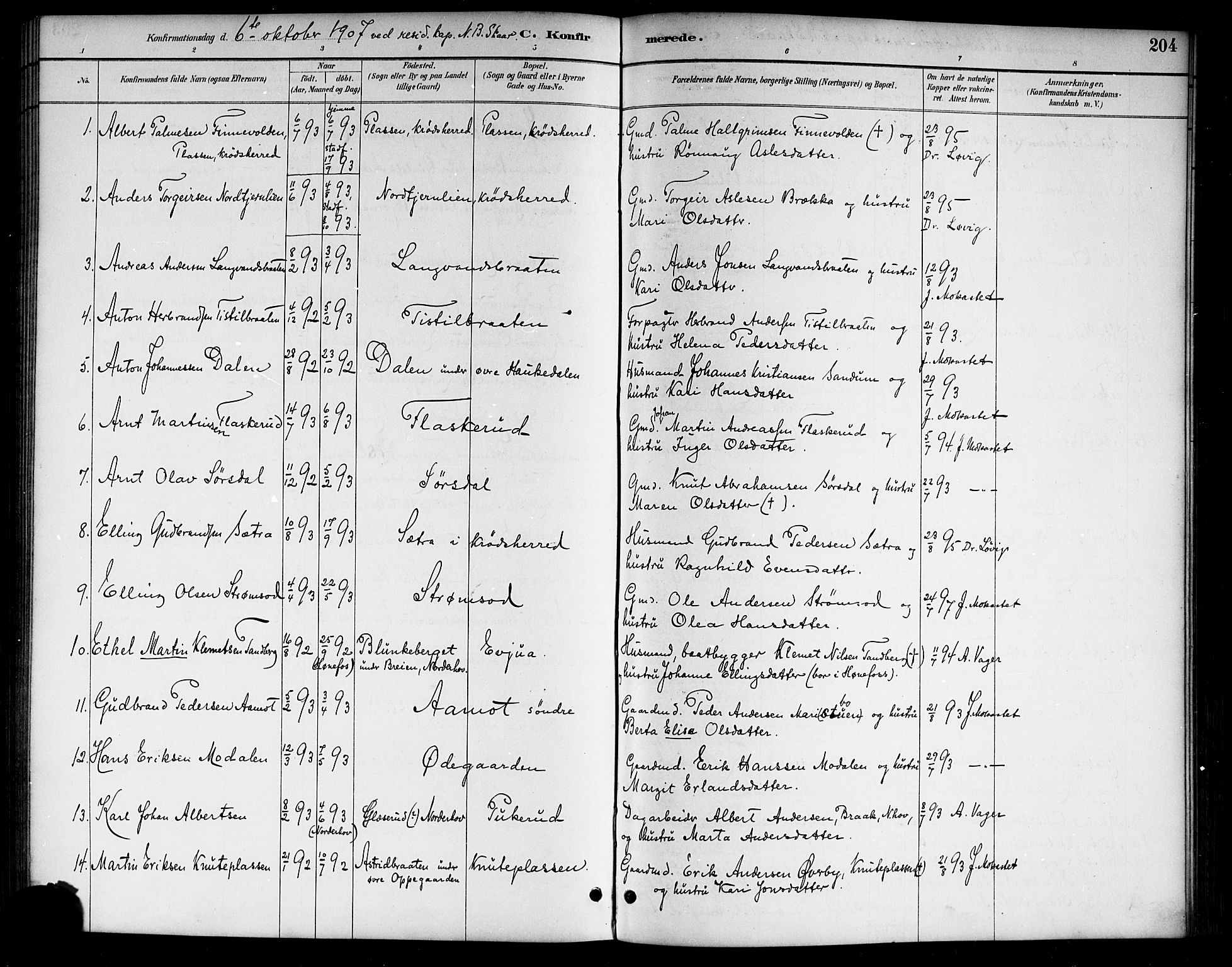 Lunder kirkebøker, AV/SAKO-A-629/G/Ga/L0004: Klokkerbok nr. I 4, 1889-1917, s. 204