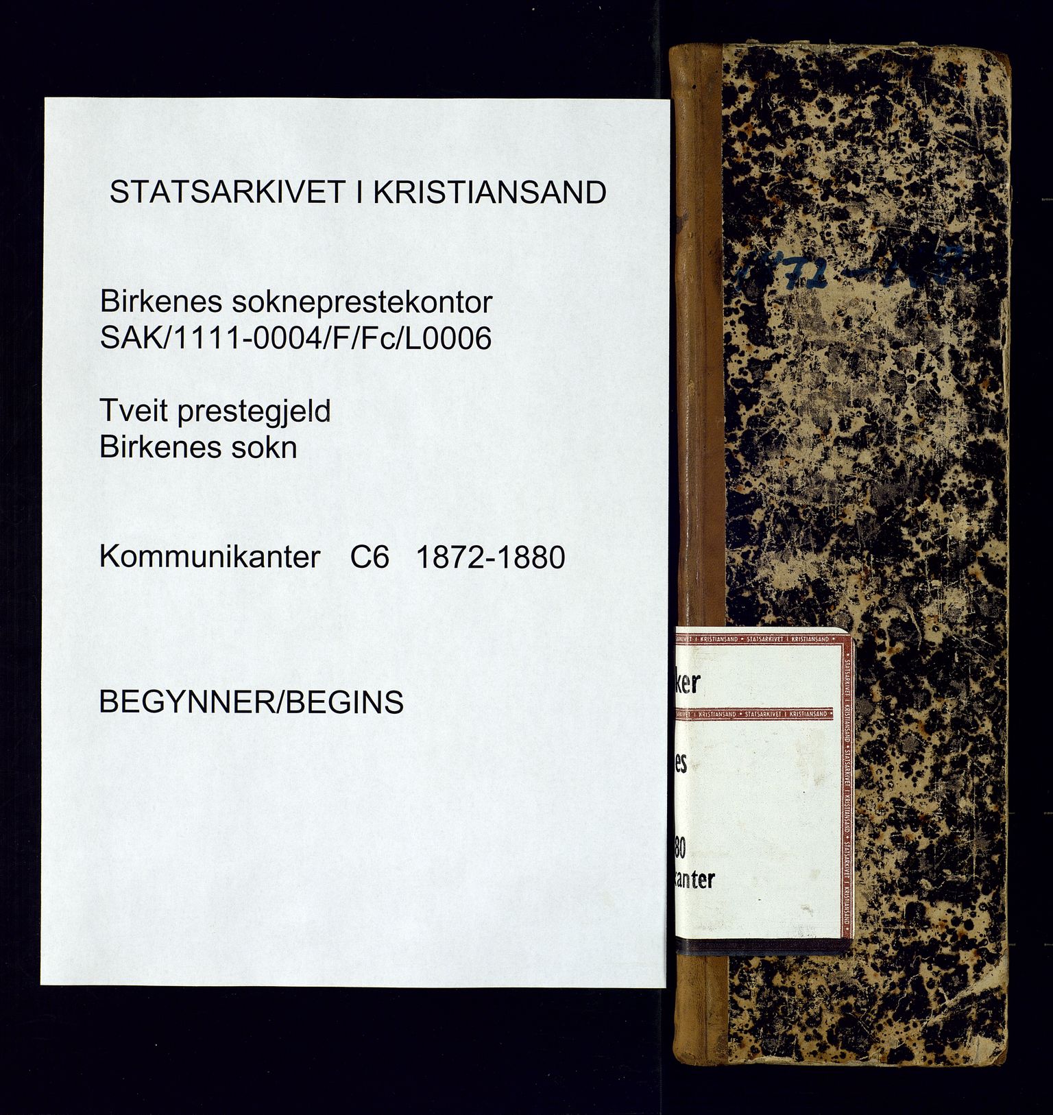 Birkenes sokneprestkontor, SAK/1111-0004/F/Fc/L0006: Kommunikantprotokoll nr. C-6, 1872-1880