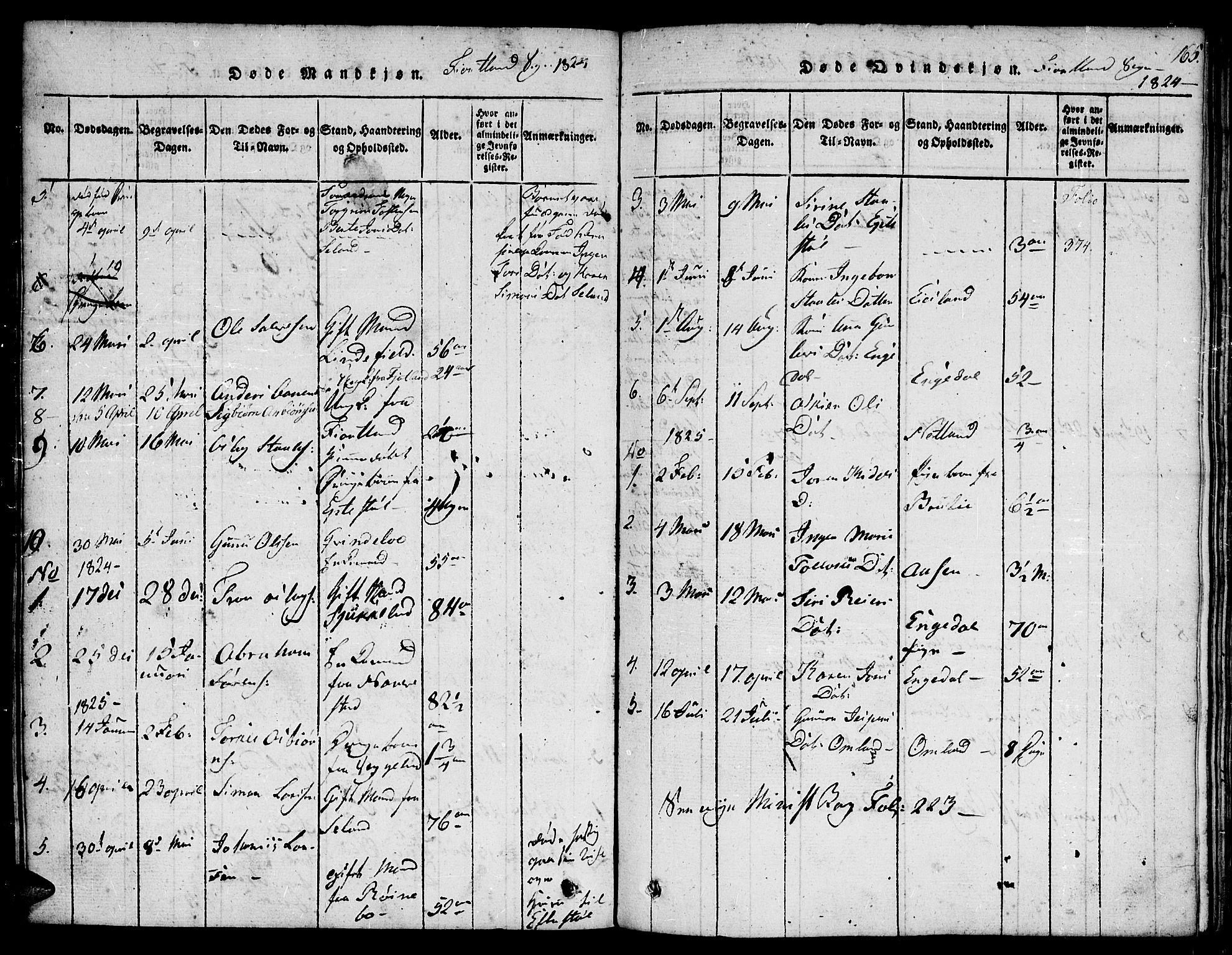 Hægebostad sokneprestkontor, SAK/1111-0024/F/Fa/Faa/L0002: Ministerialbok nr. A 2 /3, 1816-1825, s. 165