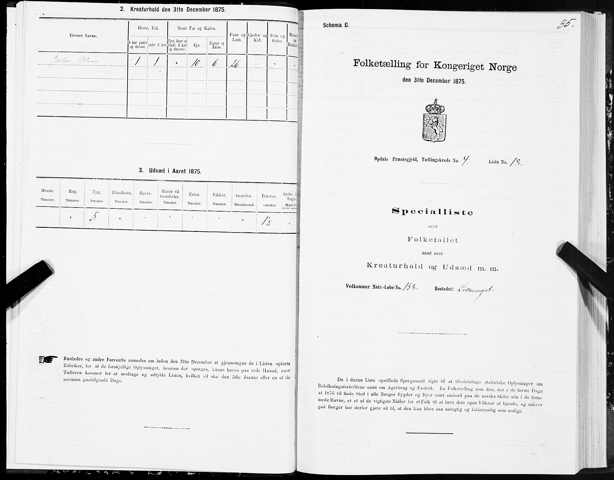 SAT, Folketelling 1875 for 1634P Oppdal prestegjeld, 1875, s. 3035