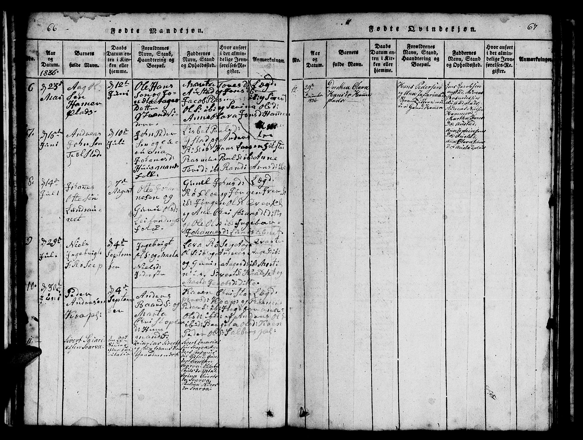 Ministerialprotokoller, klokkerbøker og fødselsregistre - Nord-Trøndelag, SAT/A-1458/731/L0310: Klokkerbok nr. 731C01, 1816-1874, s. 66-67
