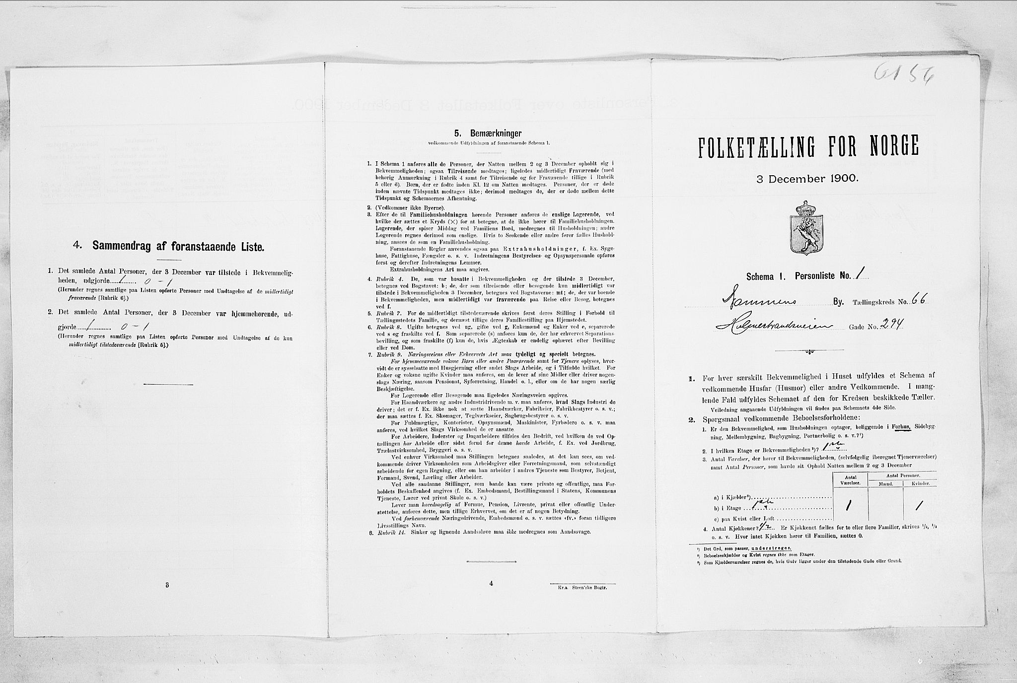 RA, Folketelling 1900 for 0602 Drammen kjøpstad, 1900, s. 11506