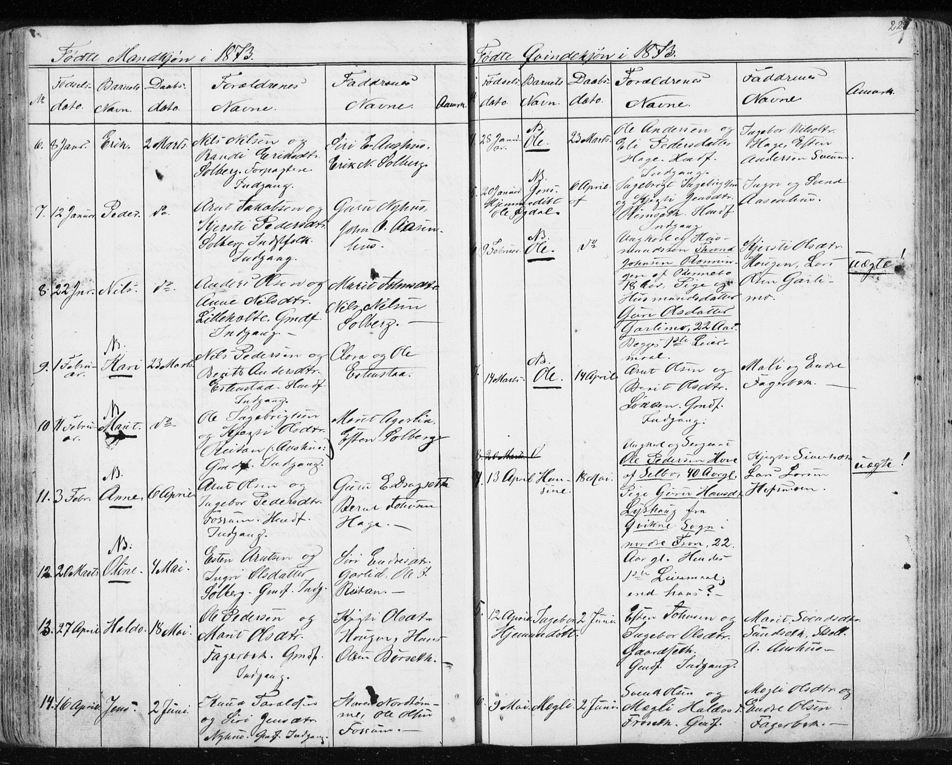 Ministerialprotokoller, klokkerbøker og fødselsregistre - Sør-Trøndelag, AV/SAT-A-1456/689/L1043: Klokkerbok nr. 689C02, 1816-1892, s. 228