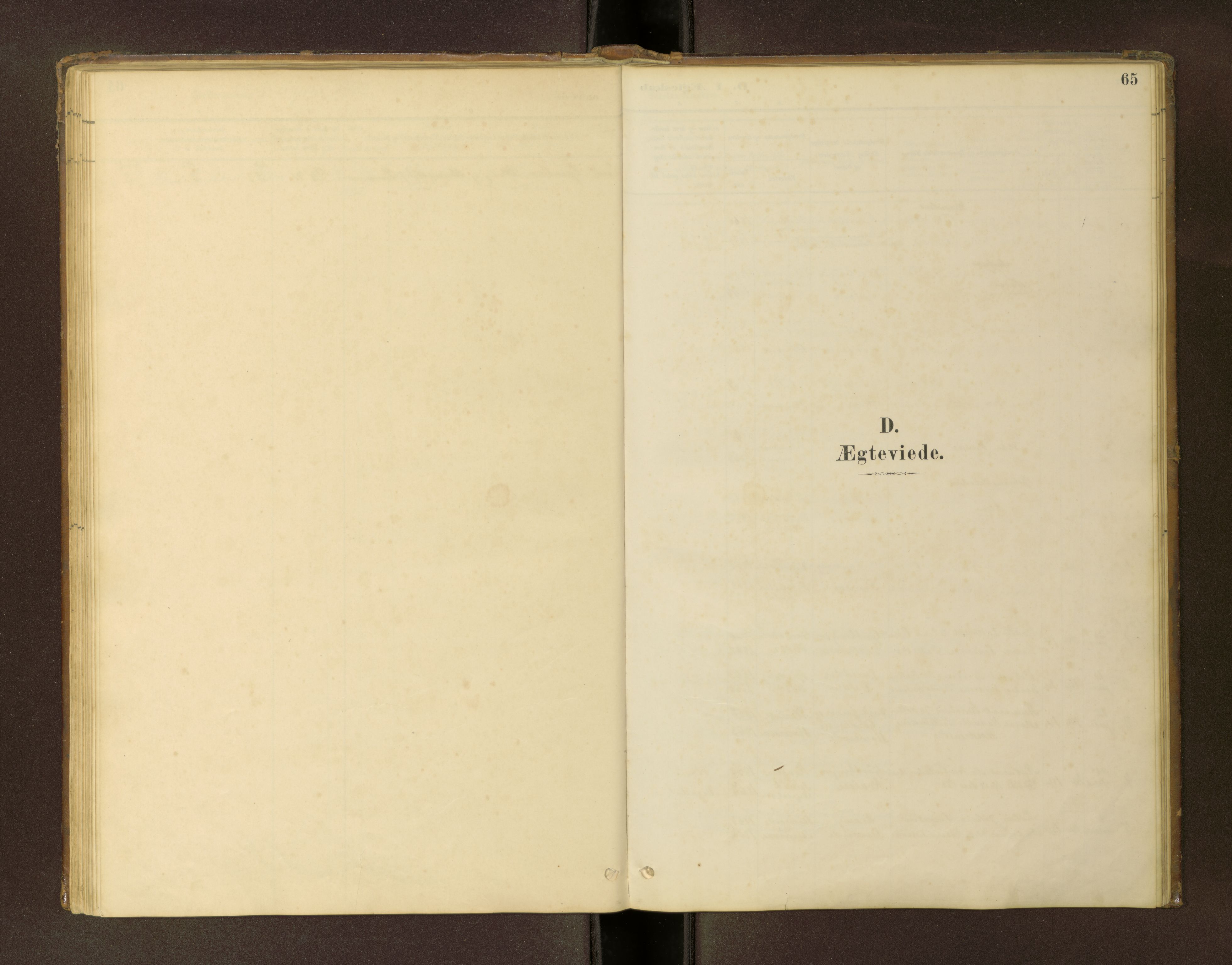 Ministerialprotokoller, klokkerbøker og fødselsregistre - Møre og Romsdal, AV/SAT-A-1454/504/L0060: Klokkerbok nr. 504C02, 1884-1903, s. 65